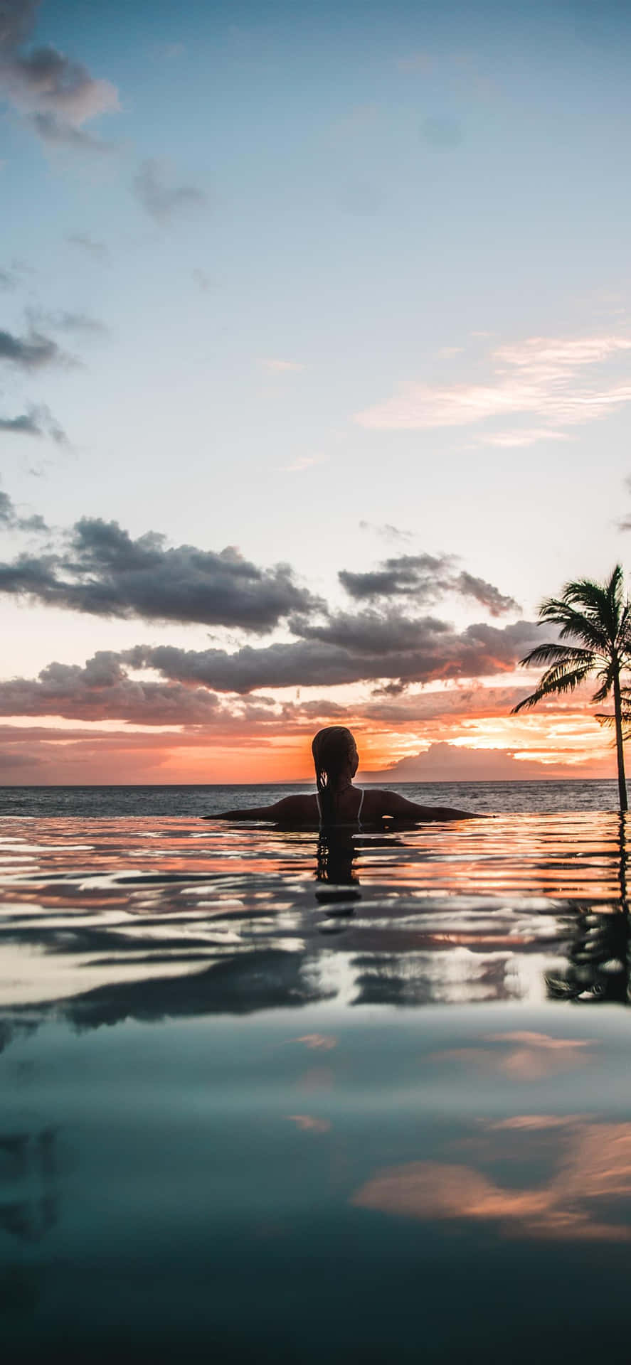 infinity pool, sunset, palm trees, Full HD Phone Wallpaper