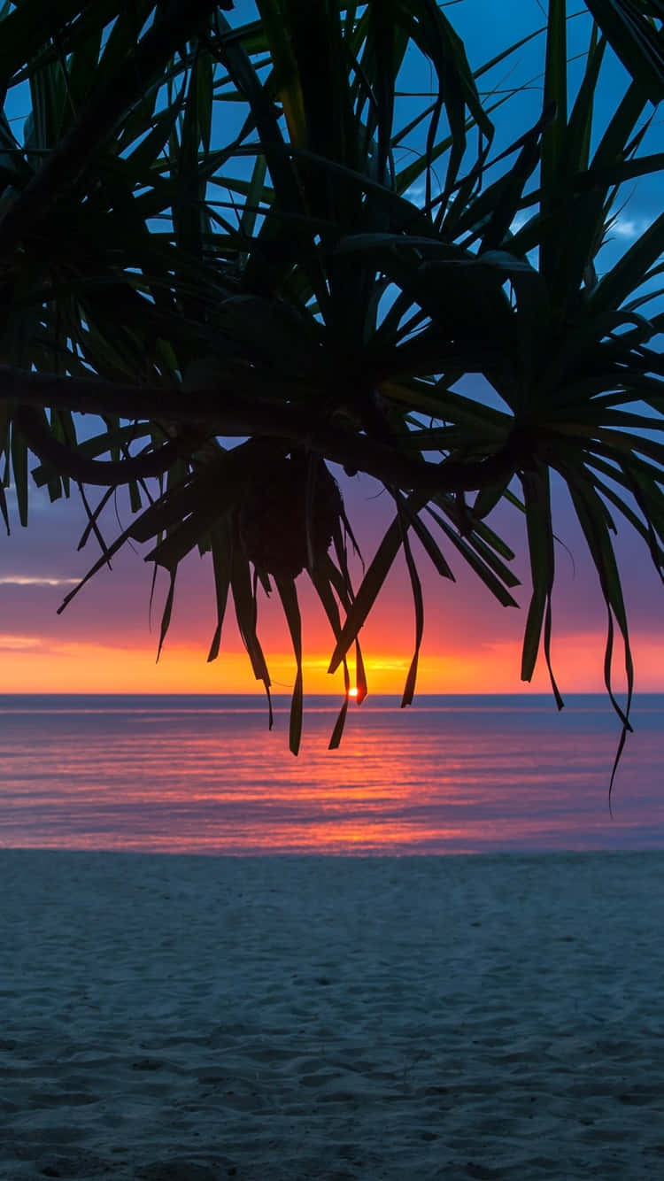 tropical beach, sunset, calm ocean waters, HD Phone Wallpaper