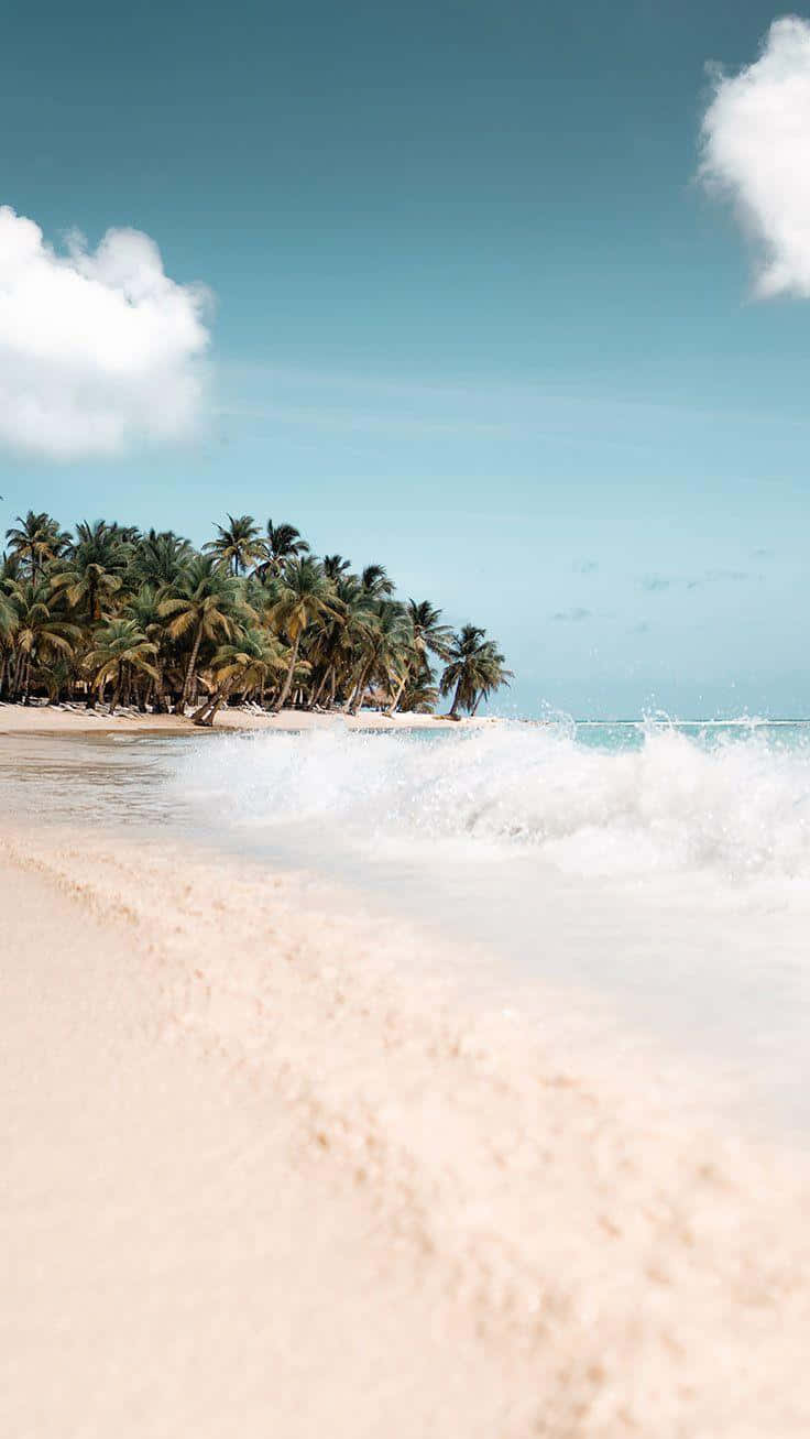 tropical beach, crashing waves, palm trees, HD Phone Wallpaper