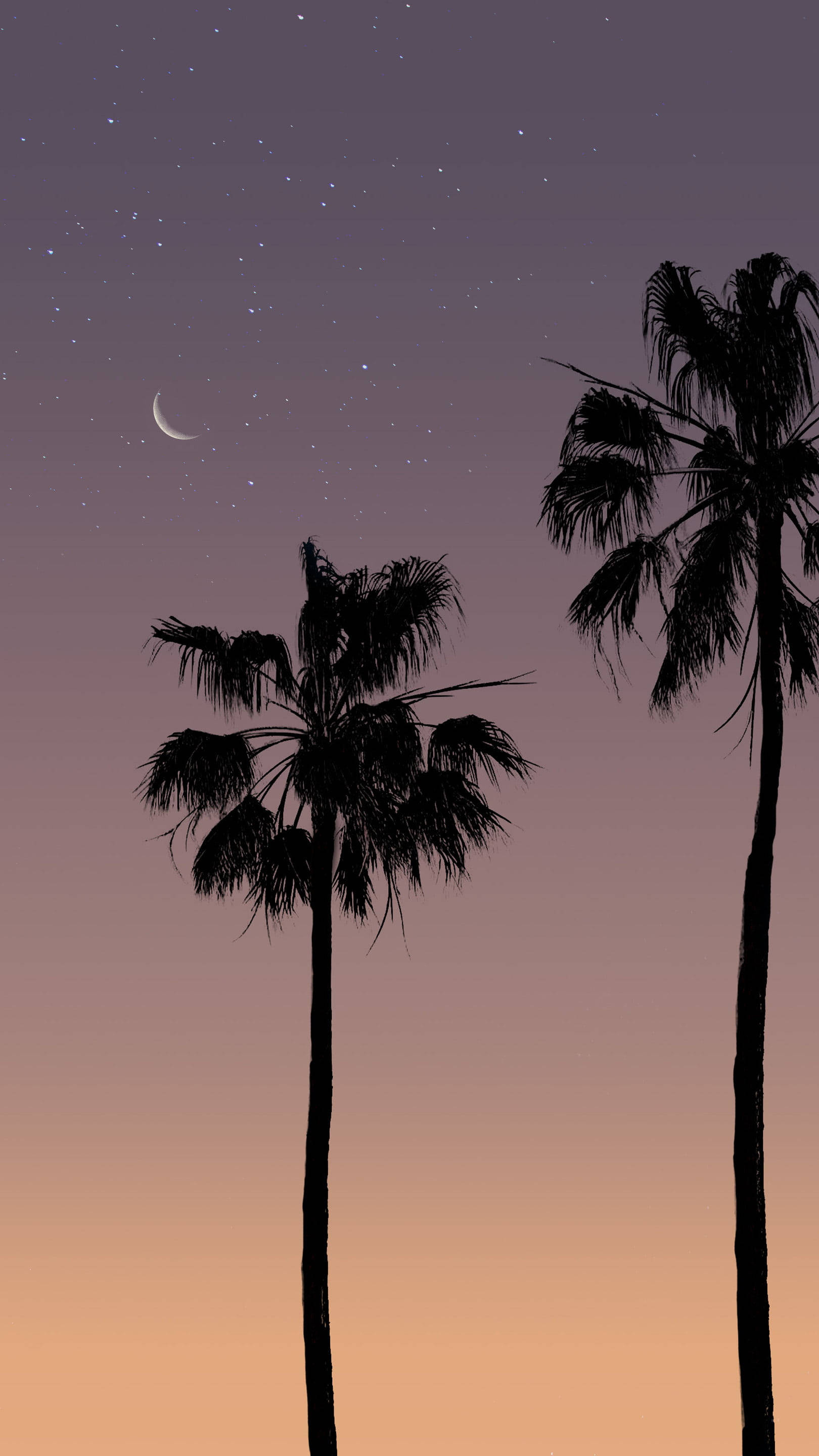 coconut tree silhouettes, twilight sky, stars, 2K Phone Wallpaper