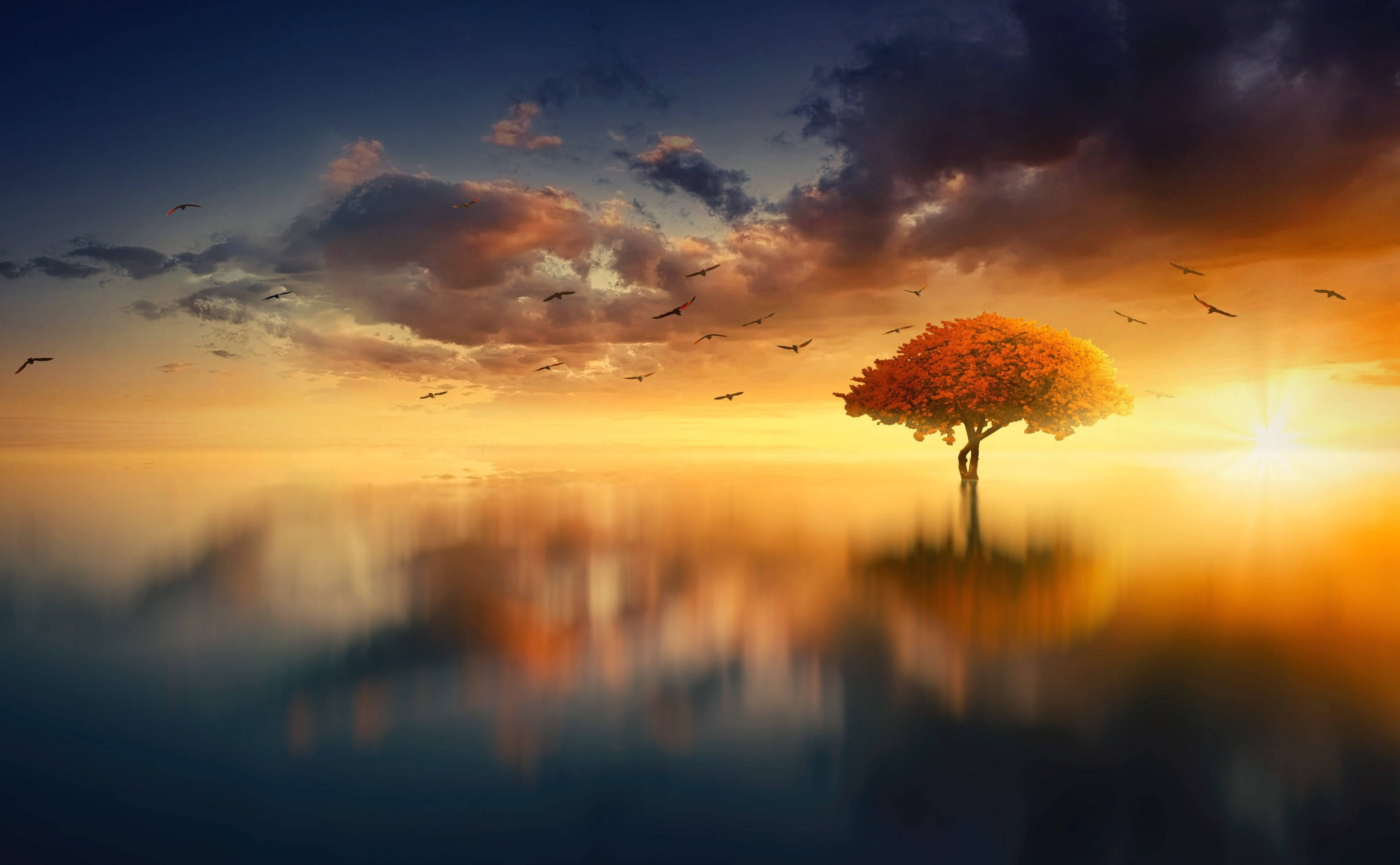Aesthetic Sunset, yellow autumn tree, calm water, 4K Desktop Wallpaper