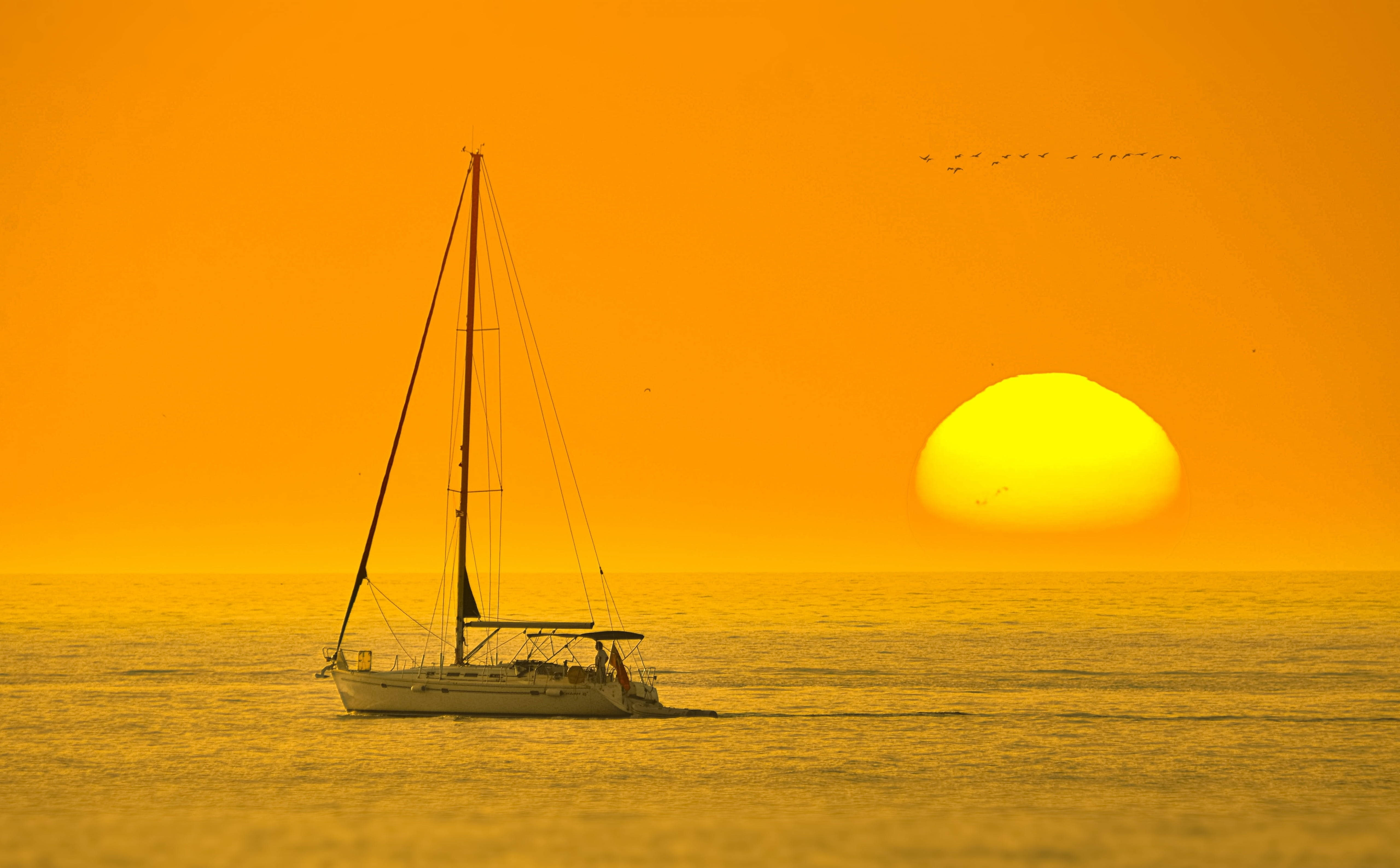 sailboat, calm ocean waters, massive golden sun, 5K Desktop Wallpaper