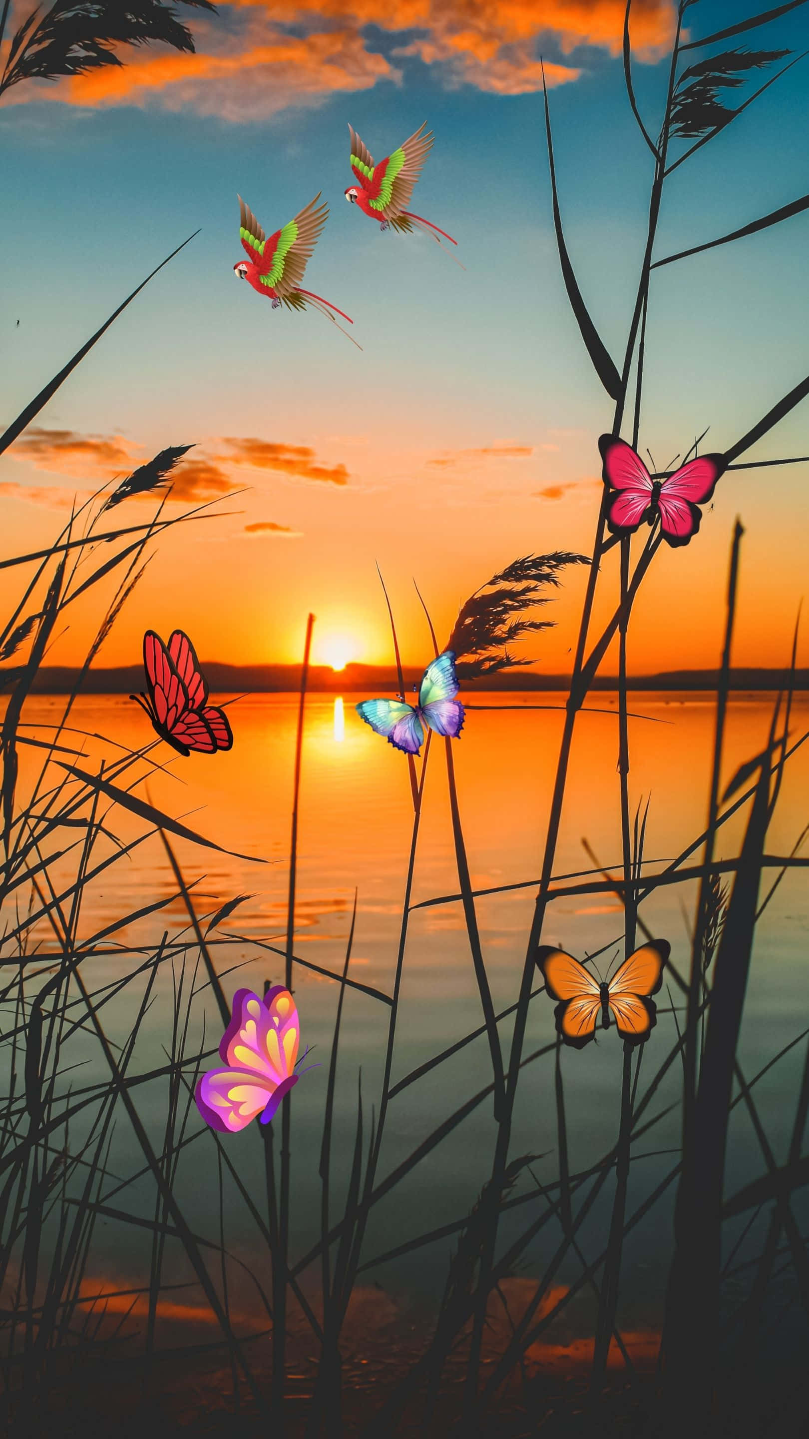 sunset, tranquil lake, colorful butterflies, 2K Phone Wallpaper