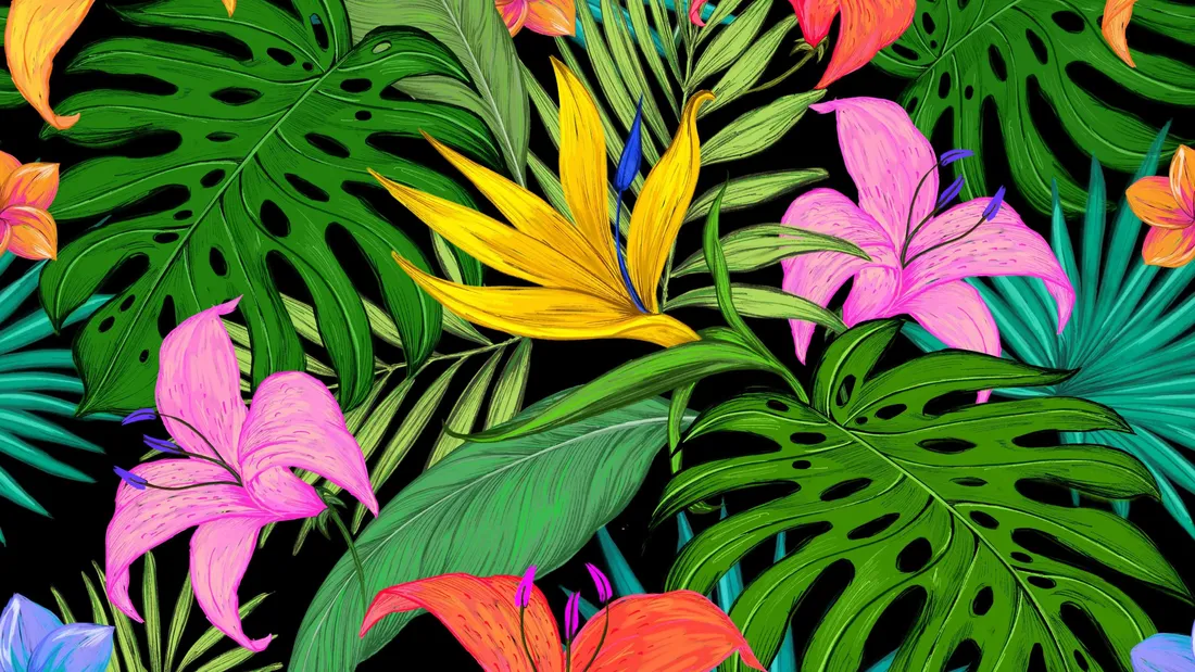 Aesthetic Tropical