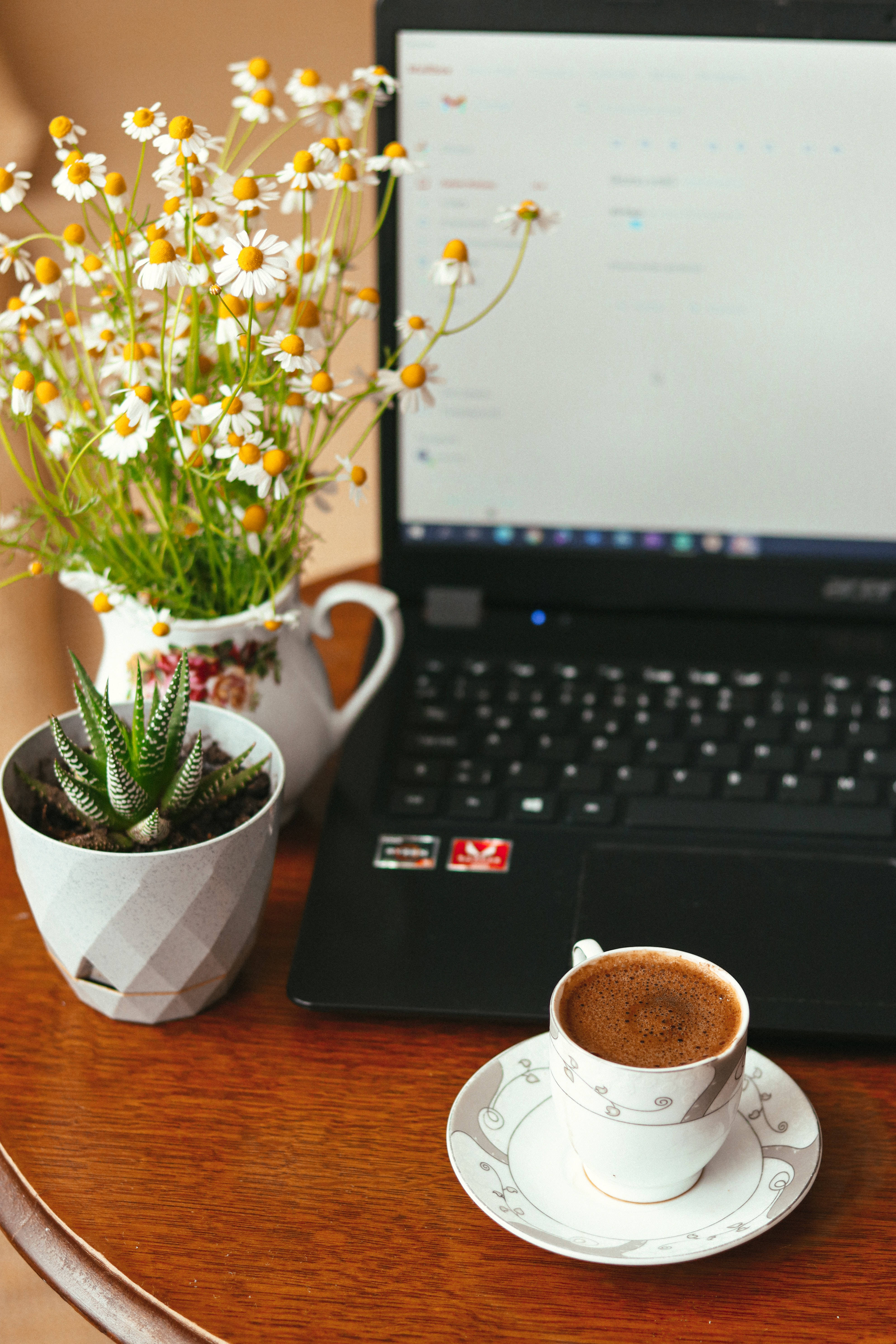 Aesthetic Tumblr Laptop, indoor plants, daisies, 5K Phone Wallpaper