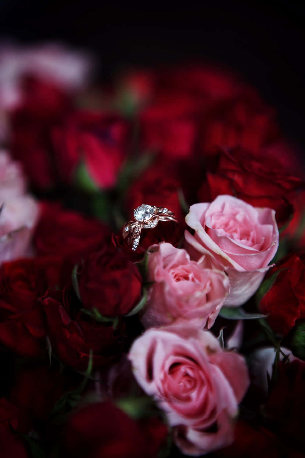 diamond engagement ring, soft pink roses, deep red blooms, HD Phone Wallpaper