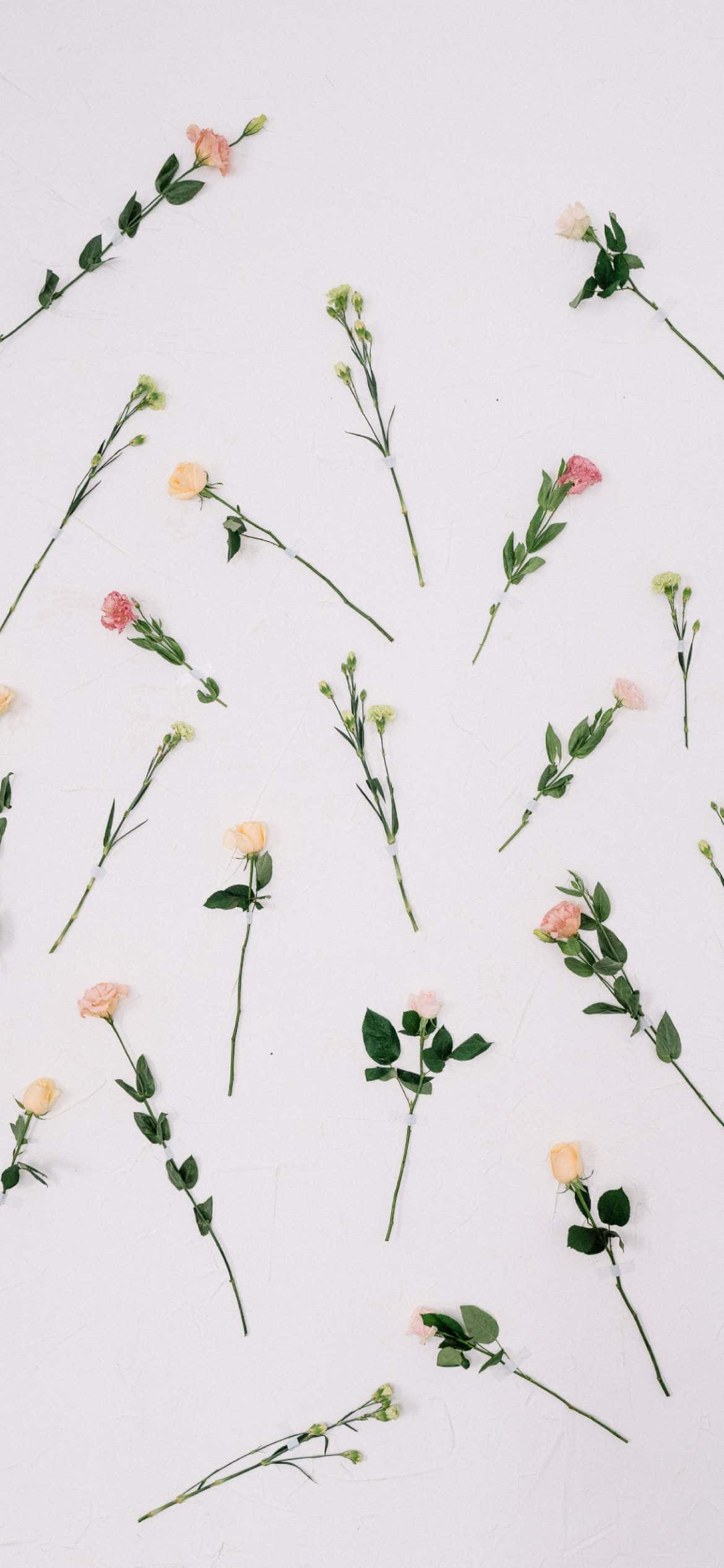 Aesthetic Valentine's Day, lovely roses, pink and yellow flowers, Full HD Phone Wallpaper