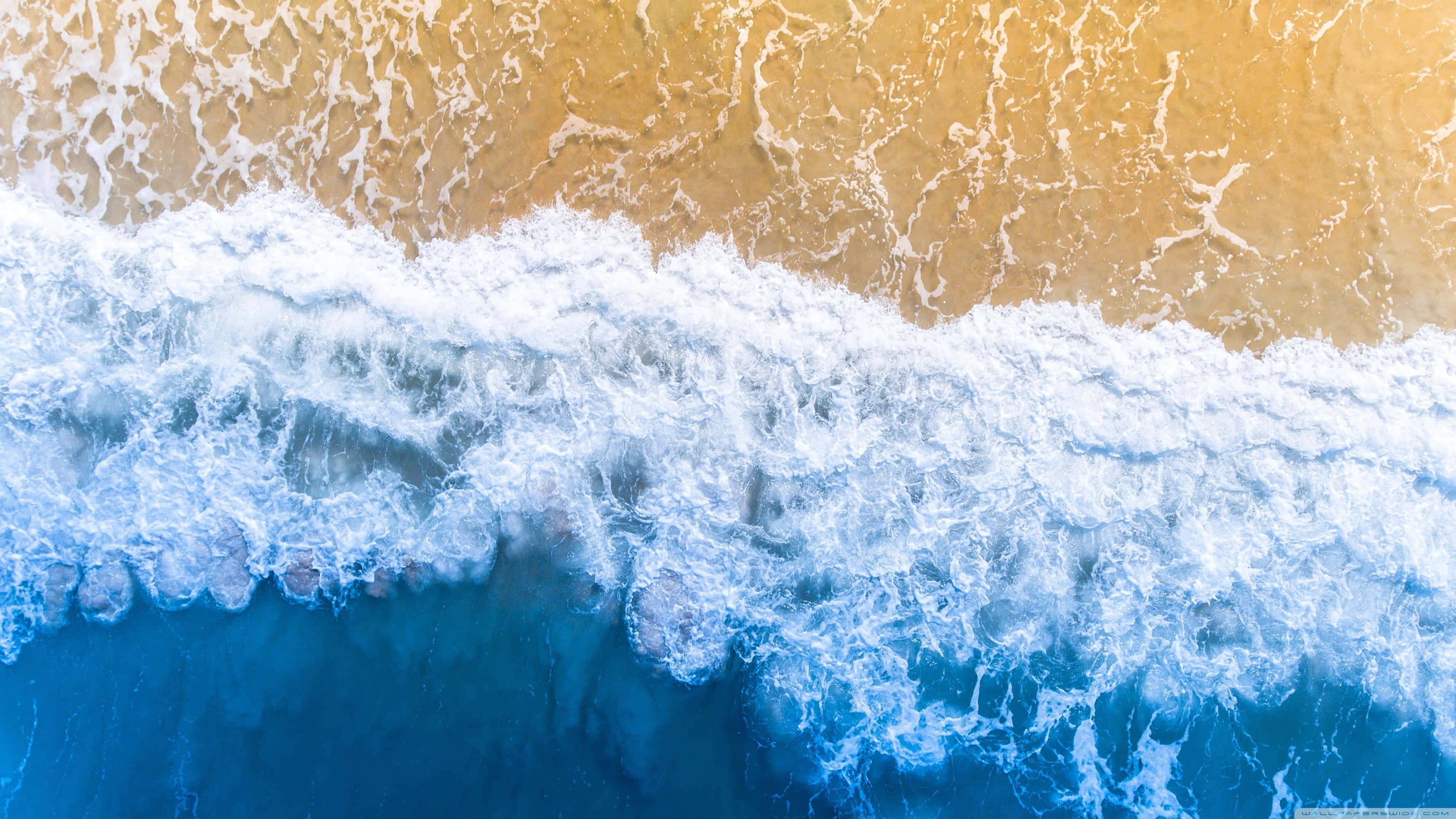 Aesthetic Wave, golden sandy shore, frothy white foam, 2K Desktop Wallpaper