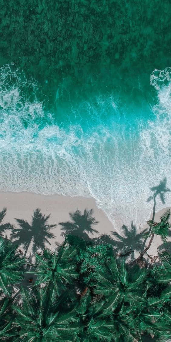Aesthetic Wave, turquoise waves, sandy beach, SD Phone Wallpaper