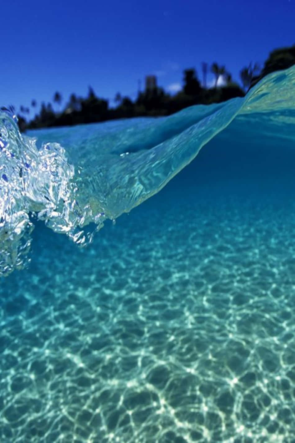 crystal clear turquoise water, sunlight dancing on the surface, palm-lined shore, HD Phone Wallpaper