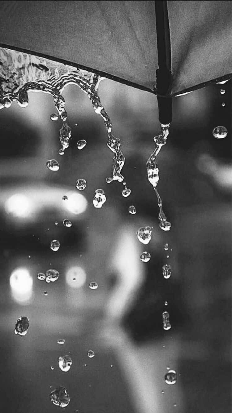 Aesthetic White And Black iPhone, umbrella, raindrops, HD Phone Wallpaper