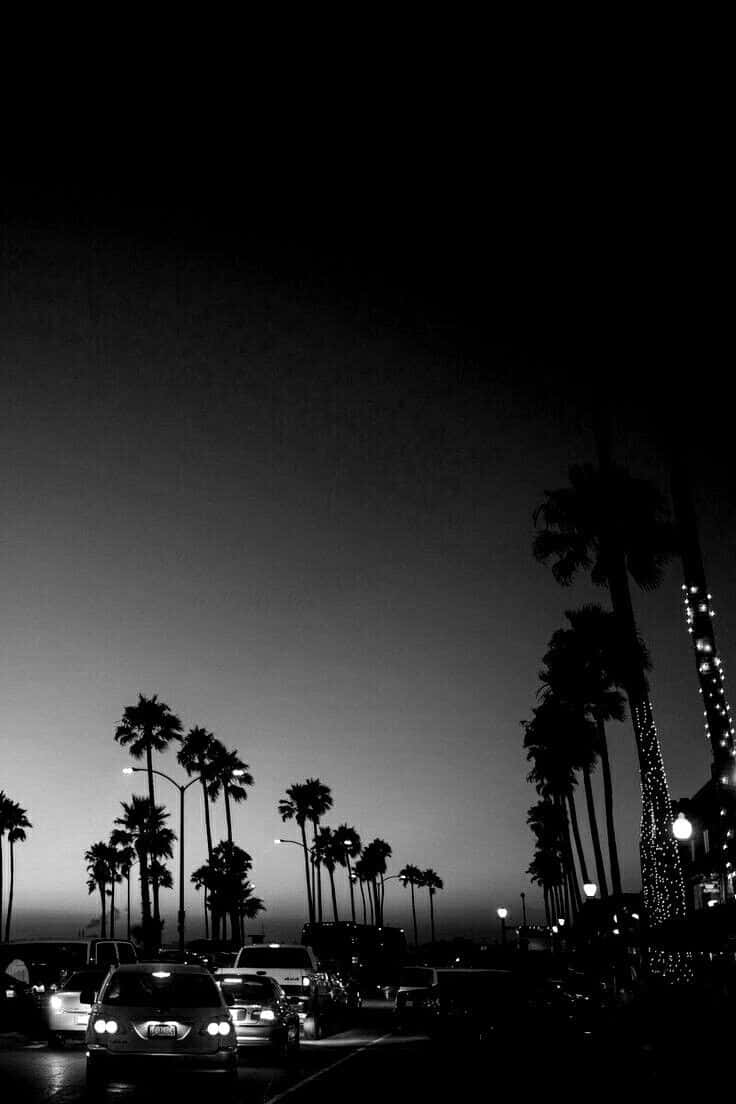 Aesthetic White And Black iPhone, palm trees, bustling street, SD Phone Wallpaper