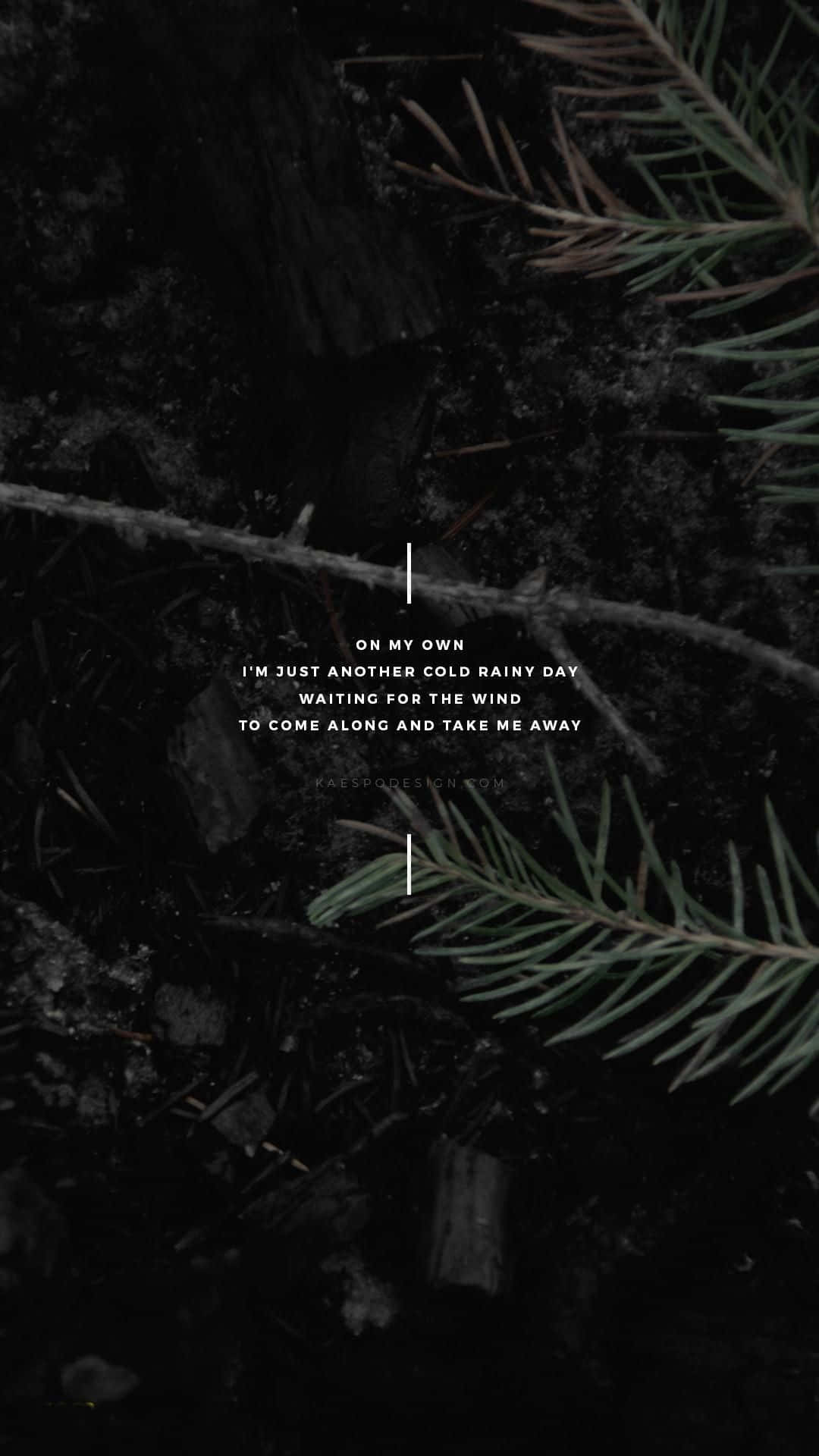 Aesthetic Black and White iPhone, dark forest floor, pine needles, Full HD Phone Wallpaper