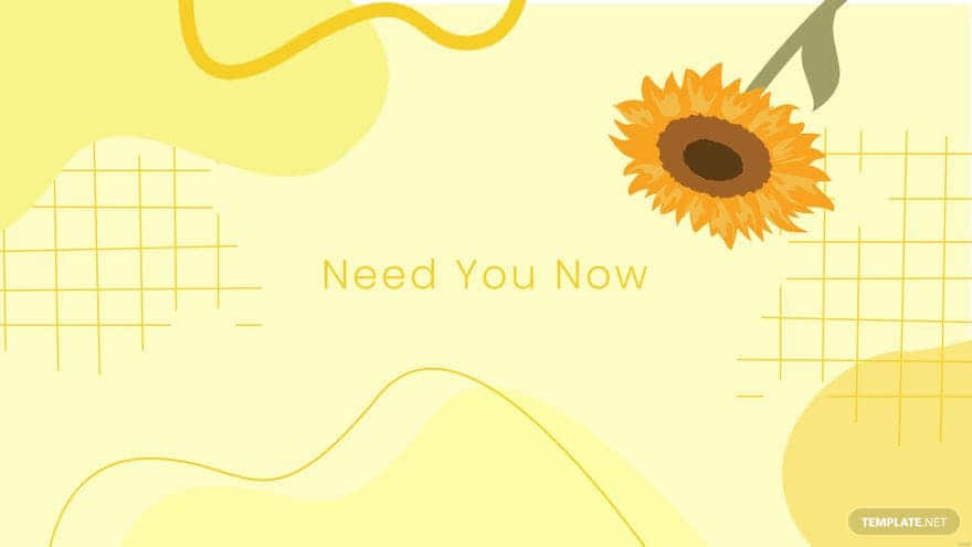 Aesthetic Yellow, sunflower, soft yellow background, SD Desktop Wallpaper