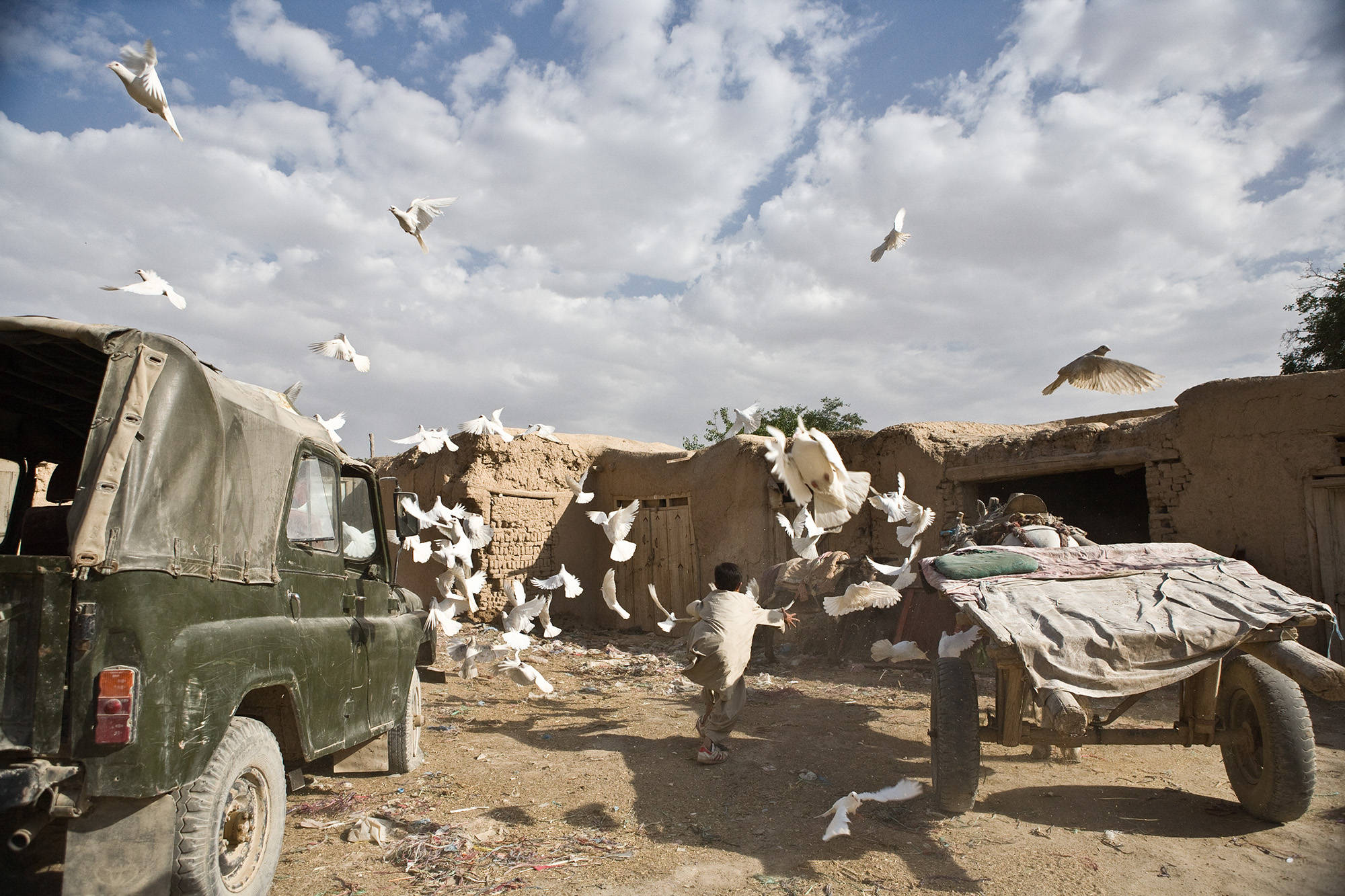 Afghanistan, flock of pigeons, dusty village courtyard, Full HD Desktop Wallpaper
