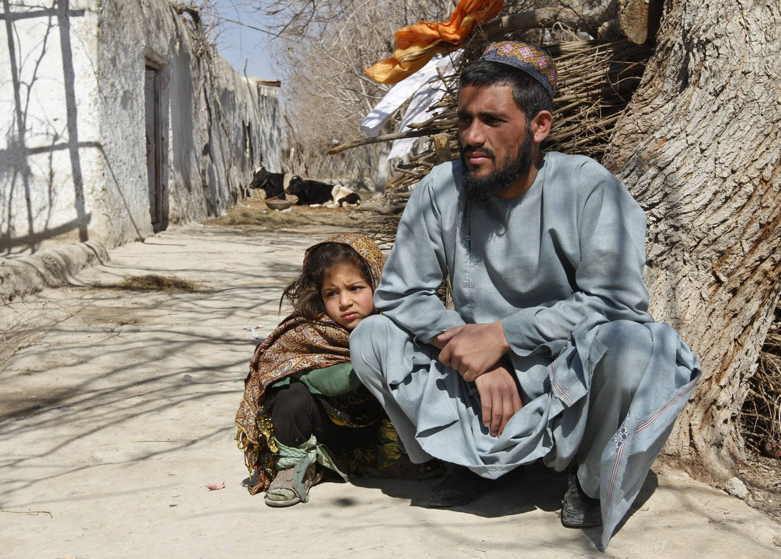 Afghanistan, father and daughter, tree, Full HD Desktop Wallpaper