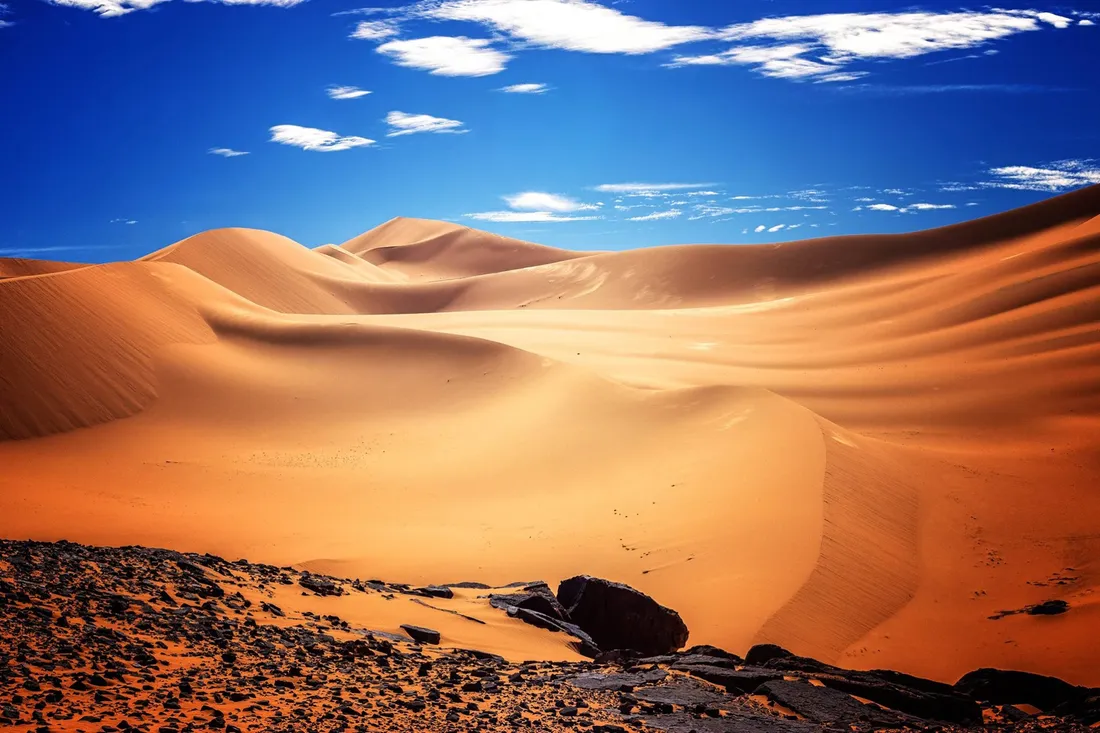 Africa 4K