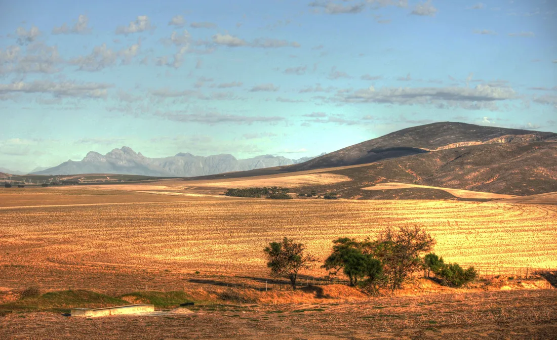 Africa HD