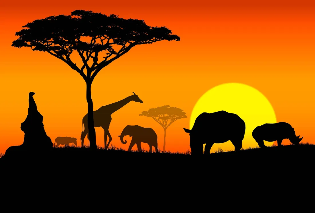 Africa iPhone