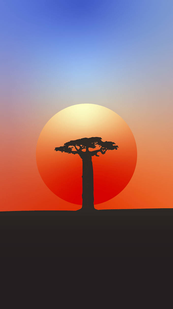 baobab tree, vibrant gradient sunset sky, orange to blue, SD Phone Wallpaper