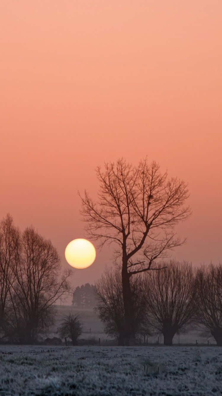 African, iPhone, sunrise, HD Phone Wallpaper