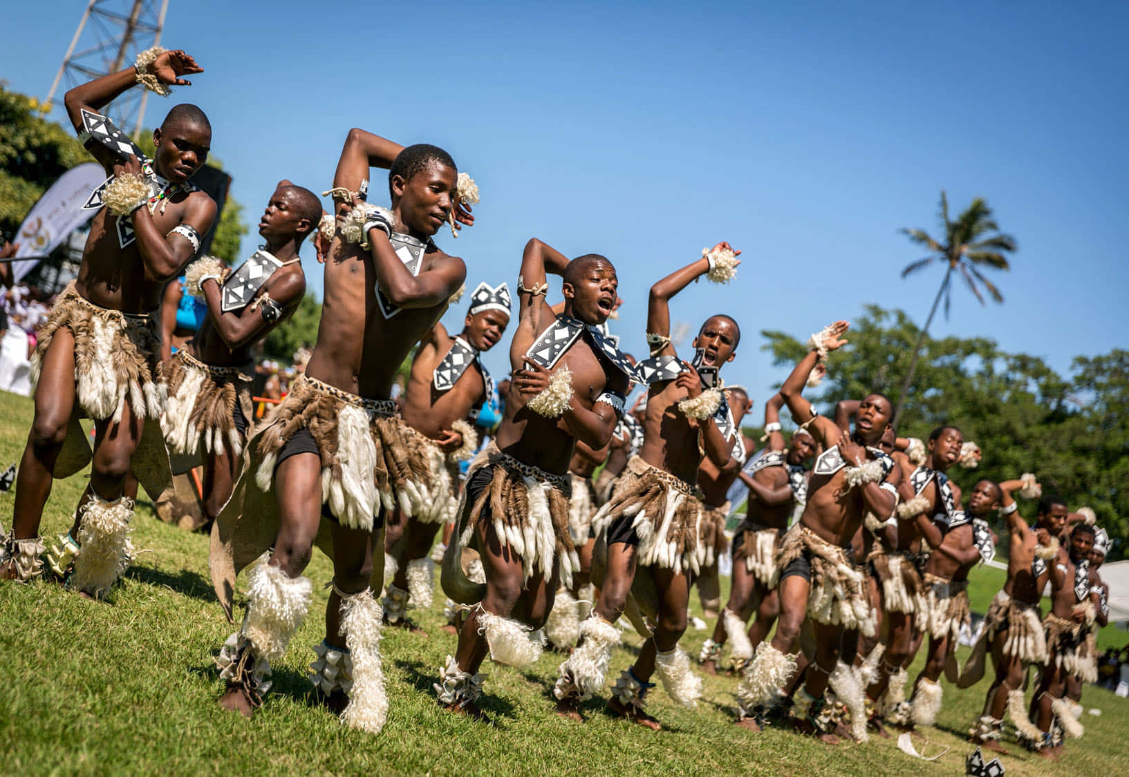 African Culture, traditional dancers, feathered costumes, HD Desktop Wallpaper