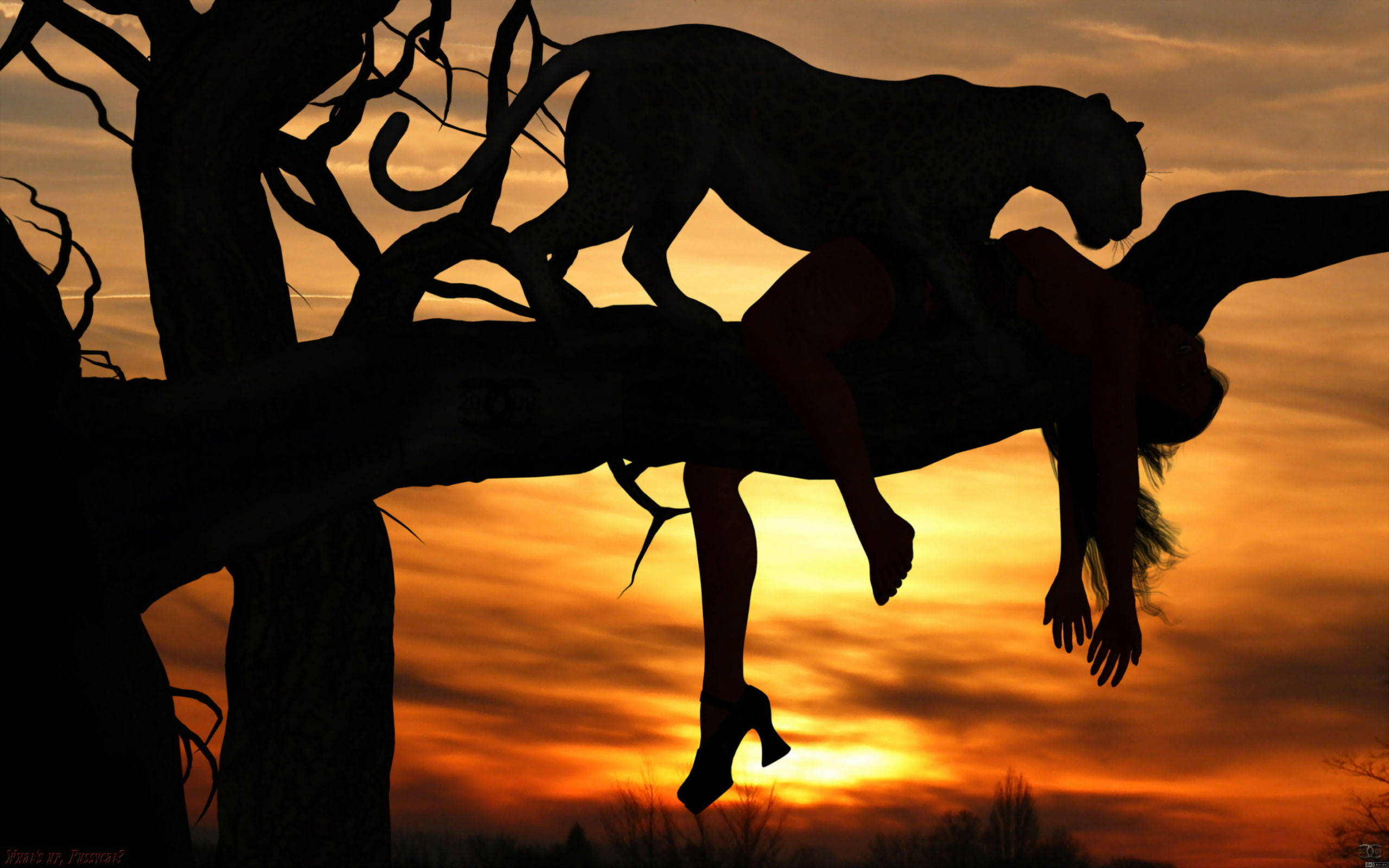 leopard, woman, gnarled tree branch, 2K Desktop Wallpaper