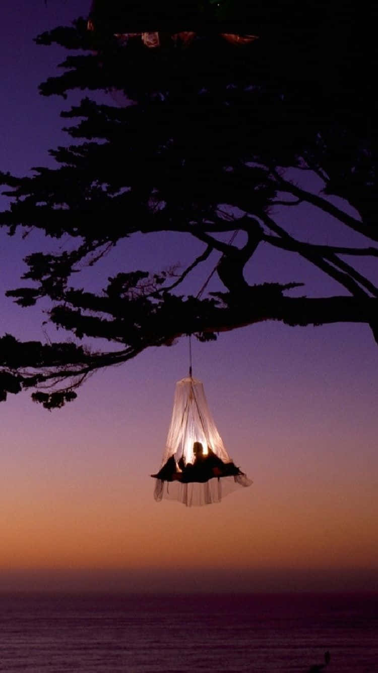 hammock, tree, dusk, HD Phone Wallpaper