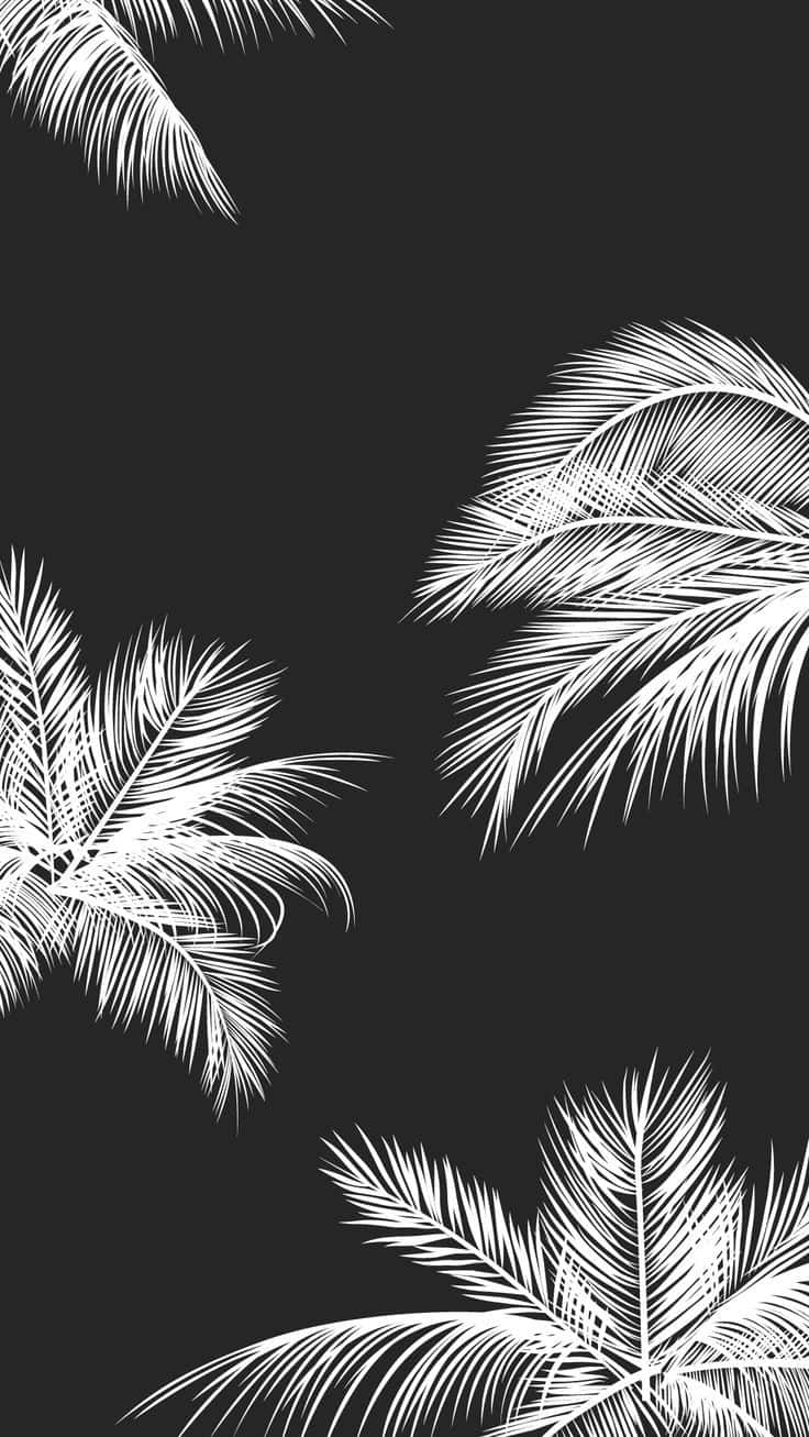 African Style Nature Jungle iPhone, white palm fronds, solid black background, HD Phone Wallpaper