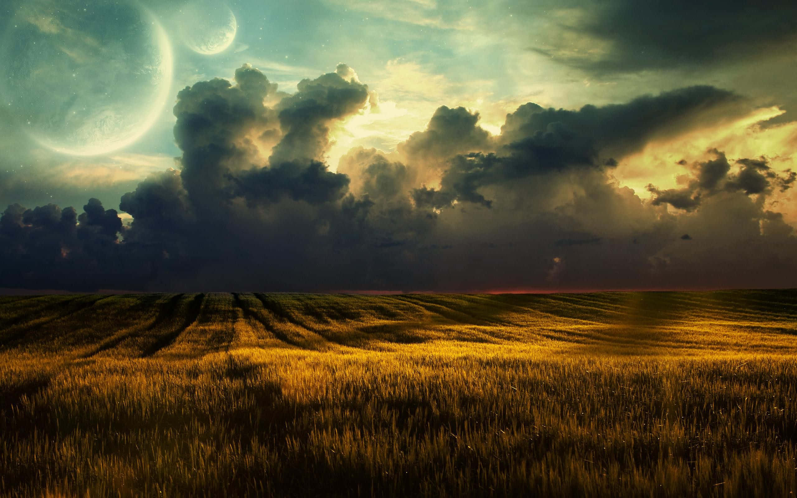 African Landscapes, golden wheat field, dramatic clouds, 2K Desktop Wallpaper