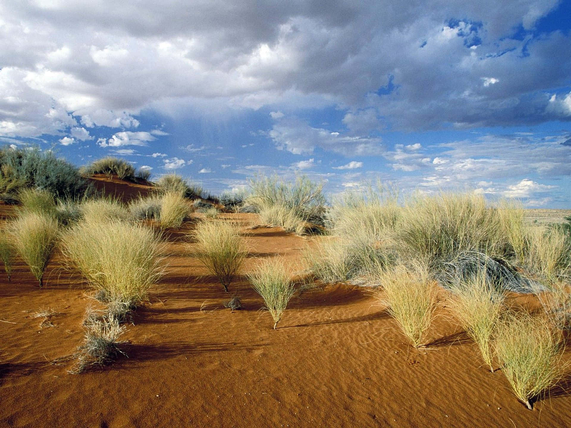 African Landscapes, golden grasses, reddish sand dunes, Full HD Desktop Wallpaper