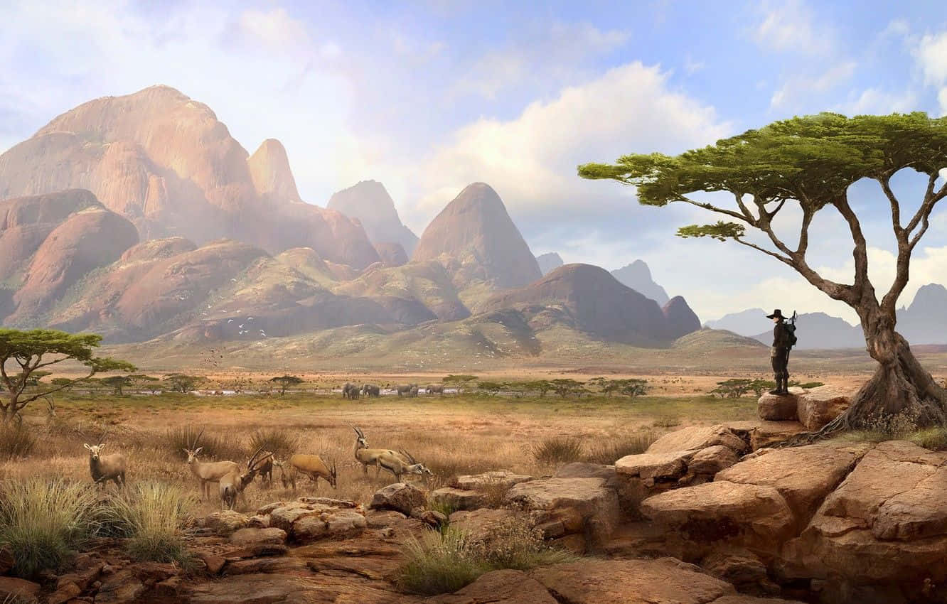 African Landscapes, acacia tree, golden savanna, HD Desktop Wallpaper