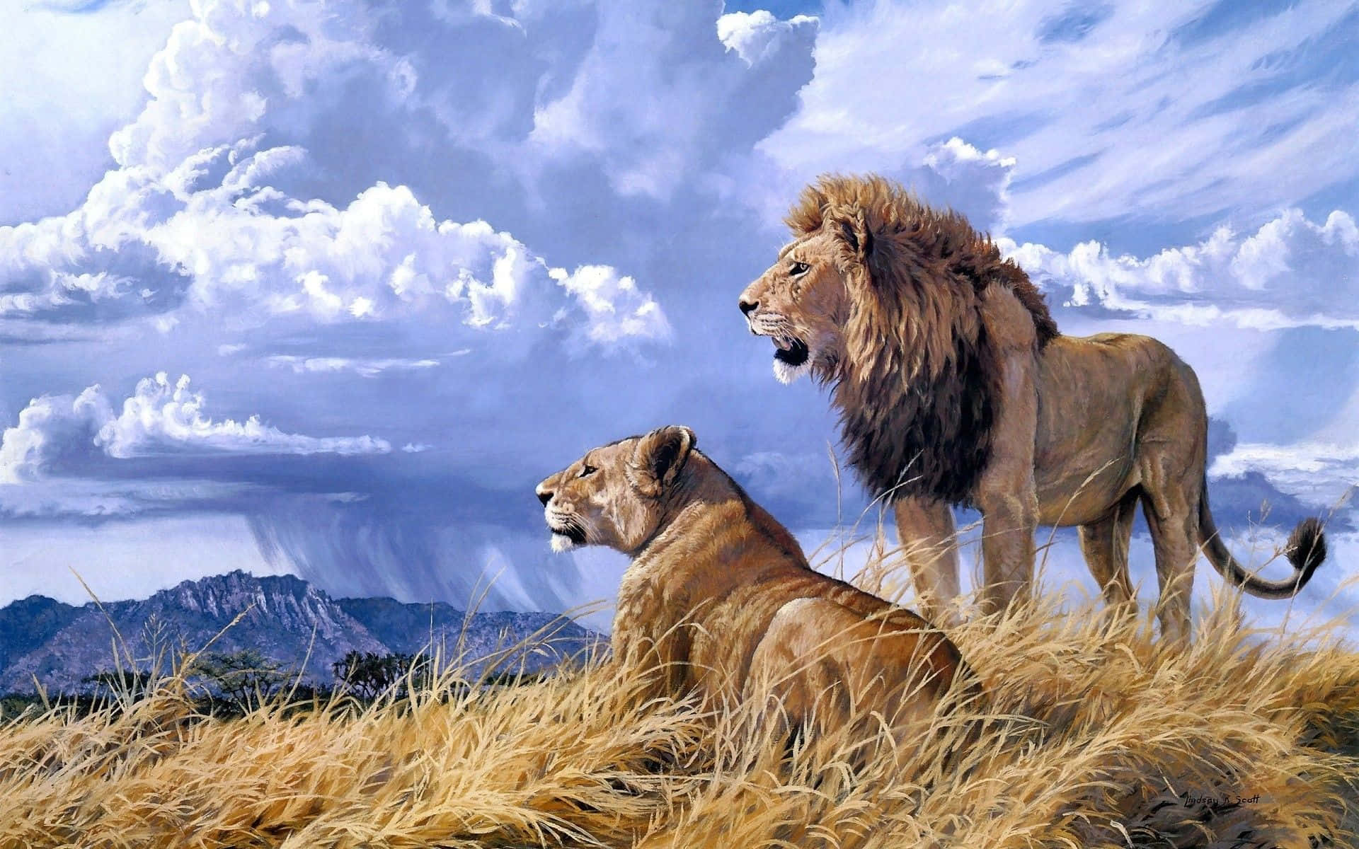 African Landscape, lion, grassy savanna, Full HD Desktop Wallpaper