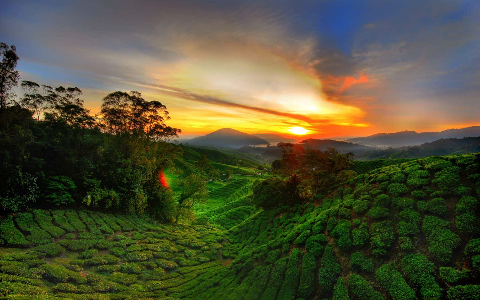 African Landscapes, Sunset, fiery orange, HD Desktop Wallpaper