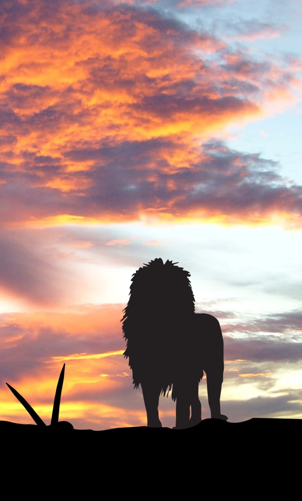 lion, hill, fiery sunset, Full HD Phone Wallpaper