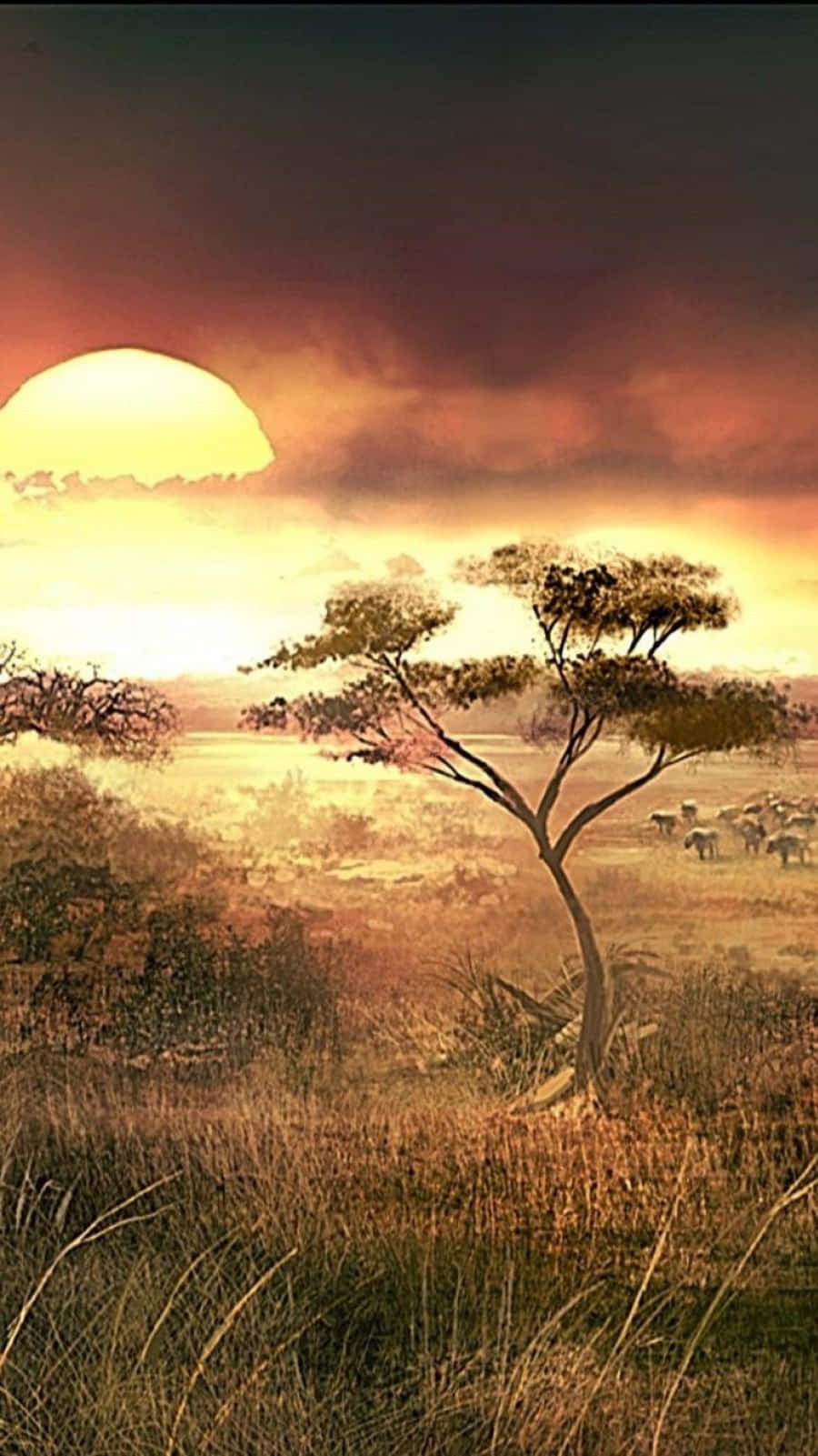 acacia tree, golden savanna grasses, massive sun, HD Phone Wallpaper