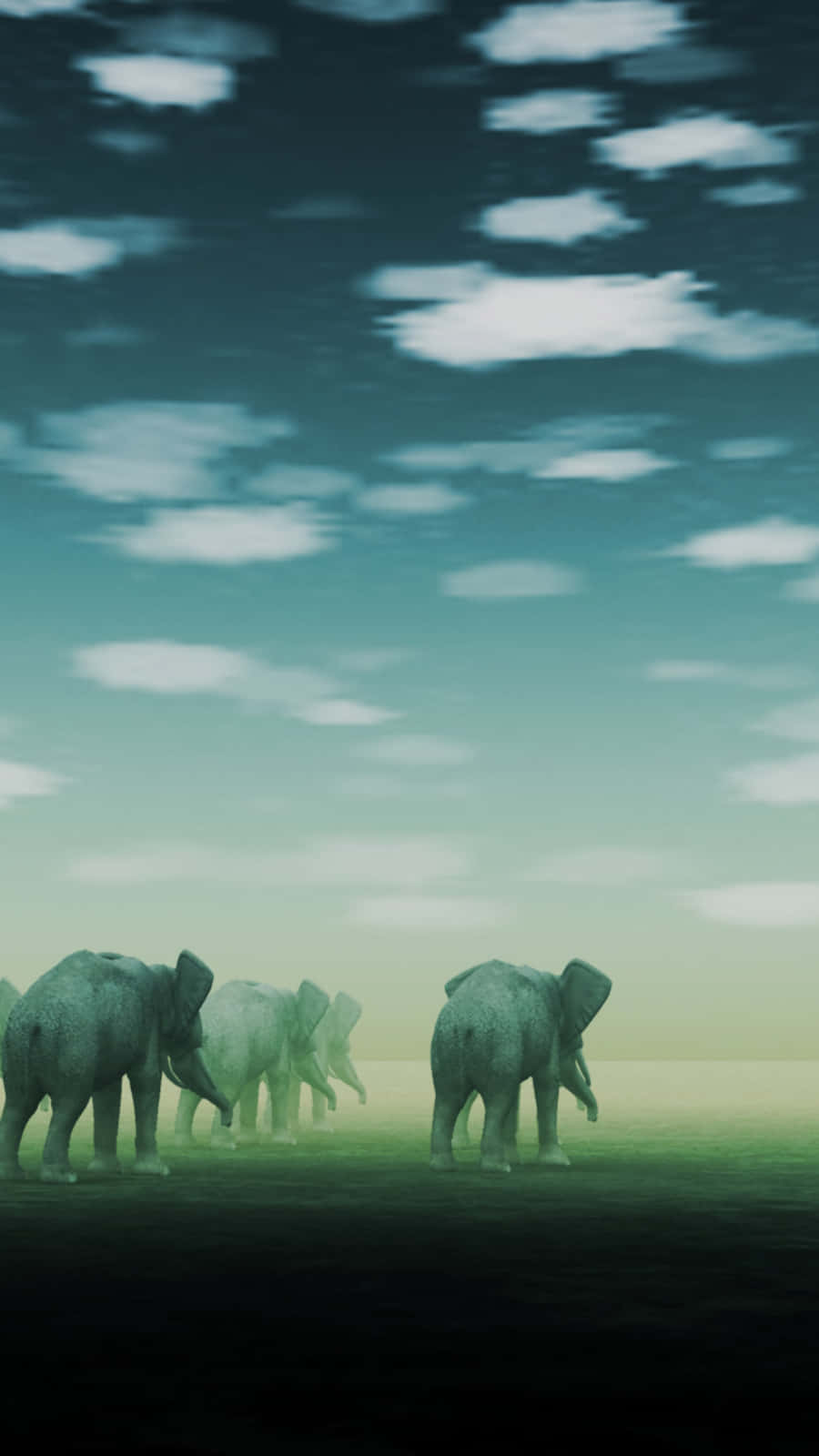 African Phone, elephants, misty plain, HD Phone Wallpaper