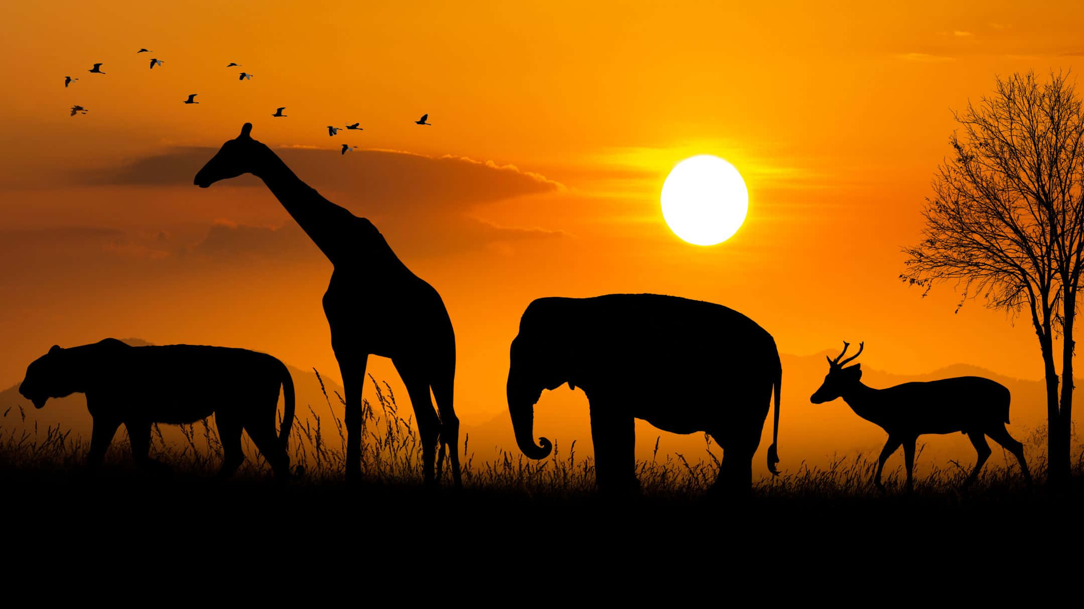 African Safari Sunset Silhouette, giraffe, elephant, Full HD Desktop Wallpaper