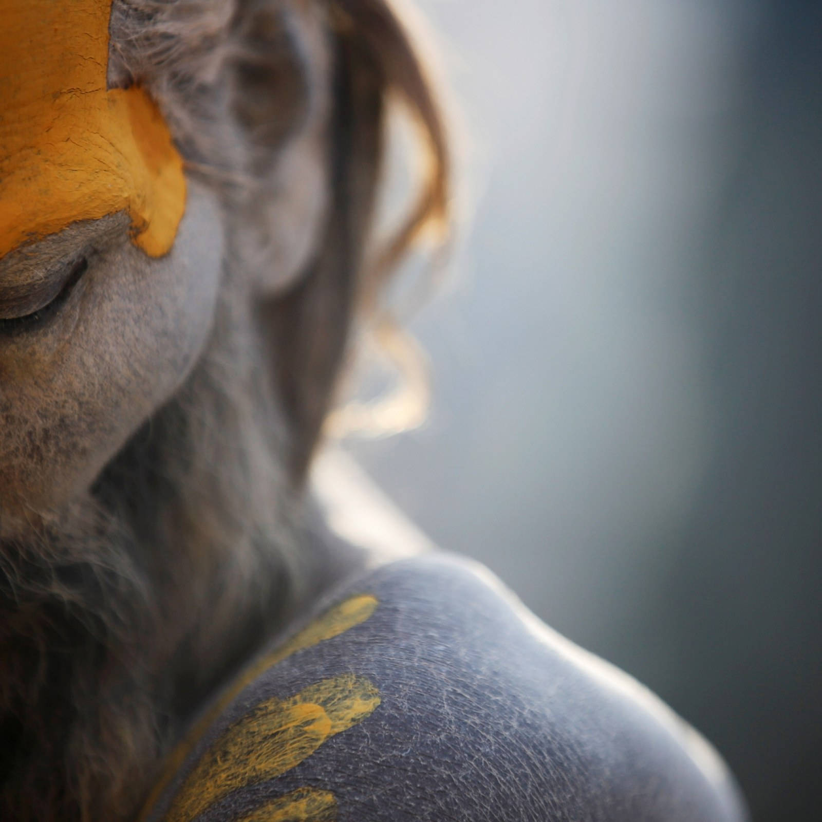 Aghori, gray body paint, yellow markings, HD Desktop Wallpaper