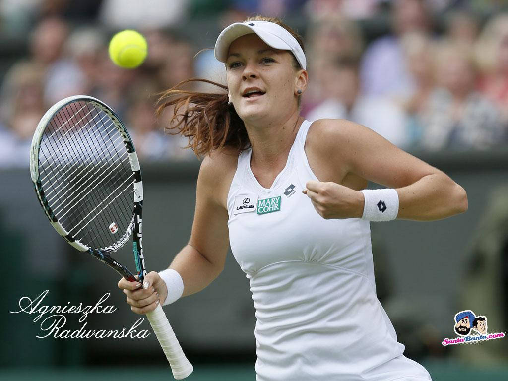 Agnieszka Radwanska, fist pump, white gear, SD Desktop Wallpaper