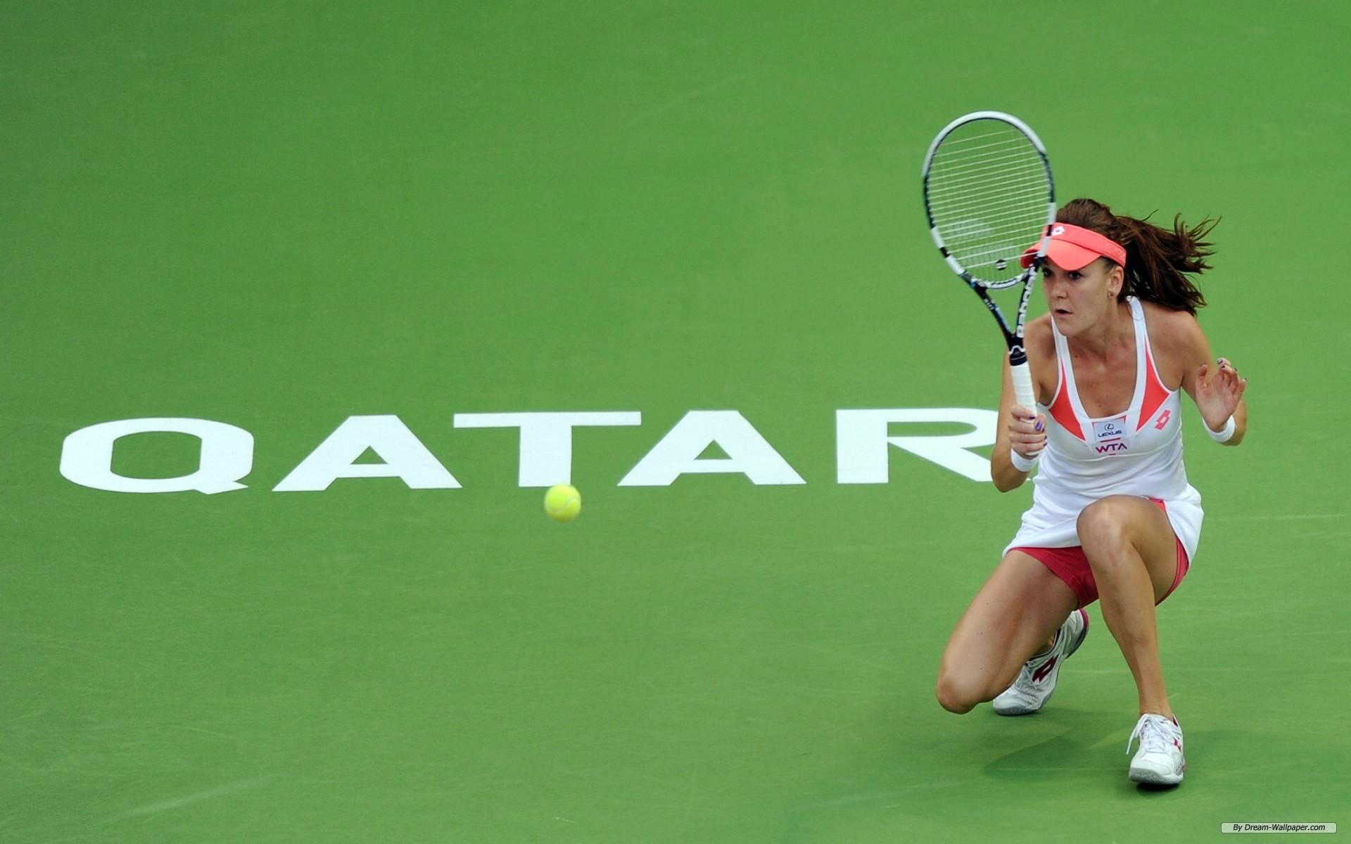 Agnieszka Radwanska, squatting down, green court, Full HD Desktop Wallpaper