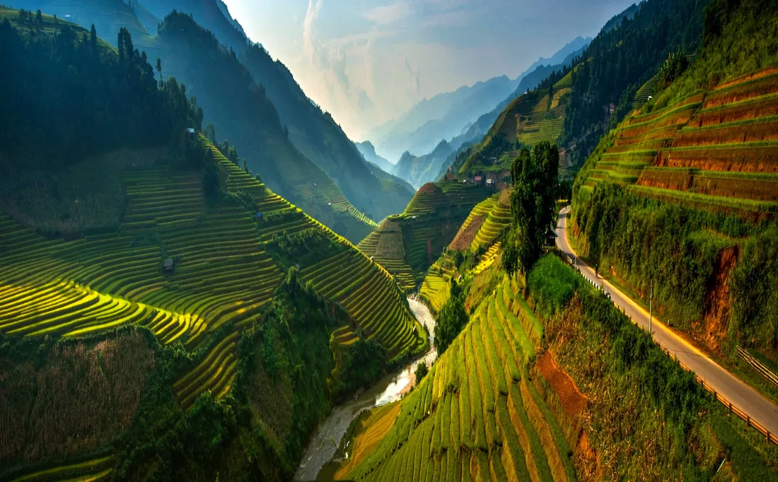 Agriculture