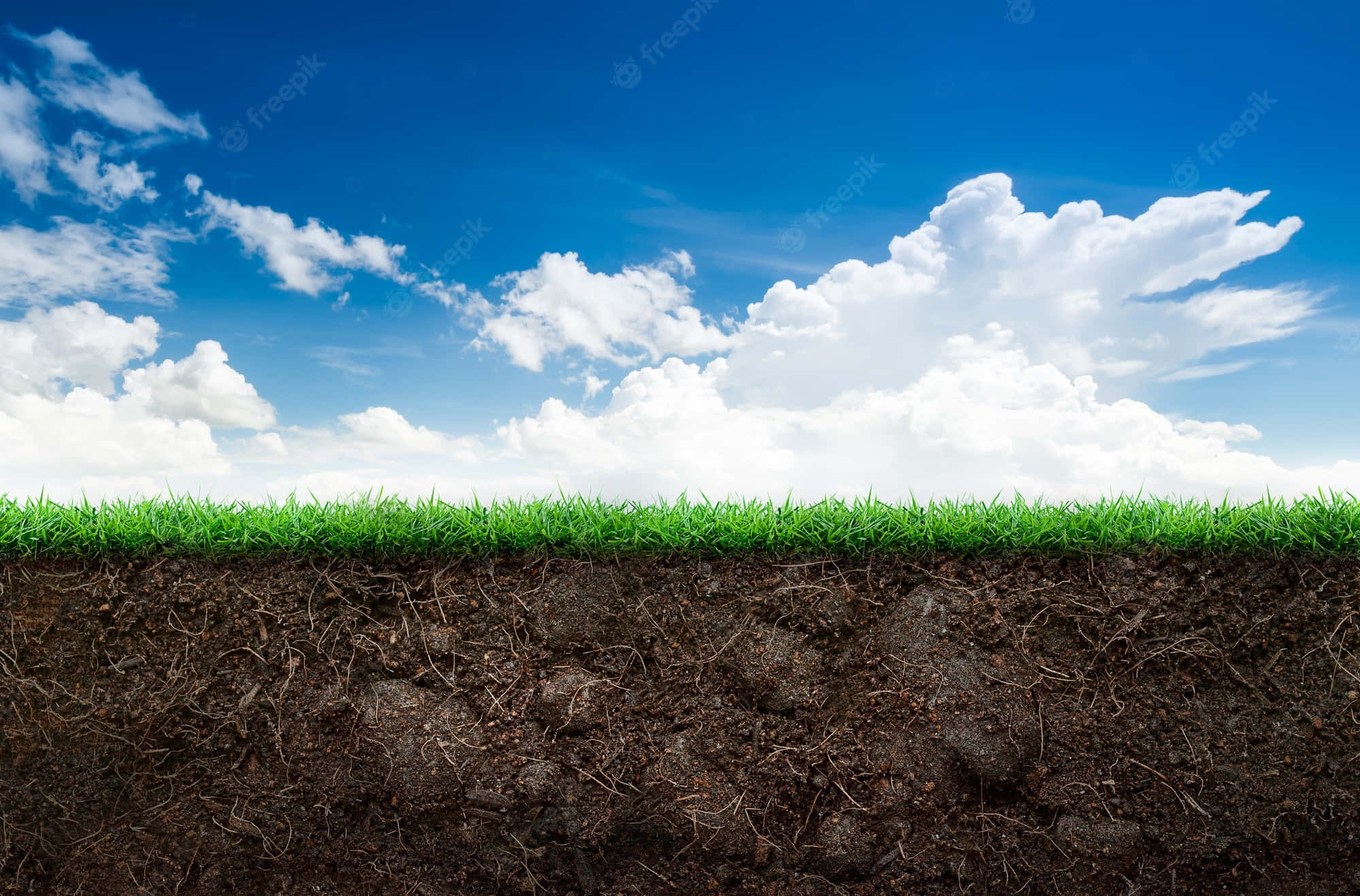 grass blades, rich brown soil, bright blue sky, Full HD Desktop Wallpaper