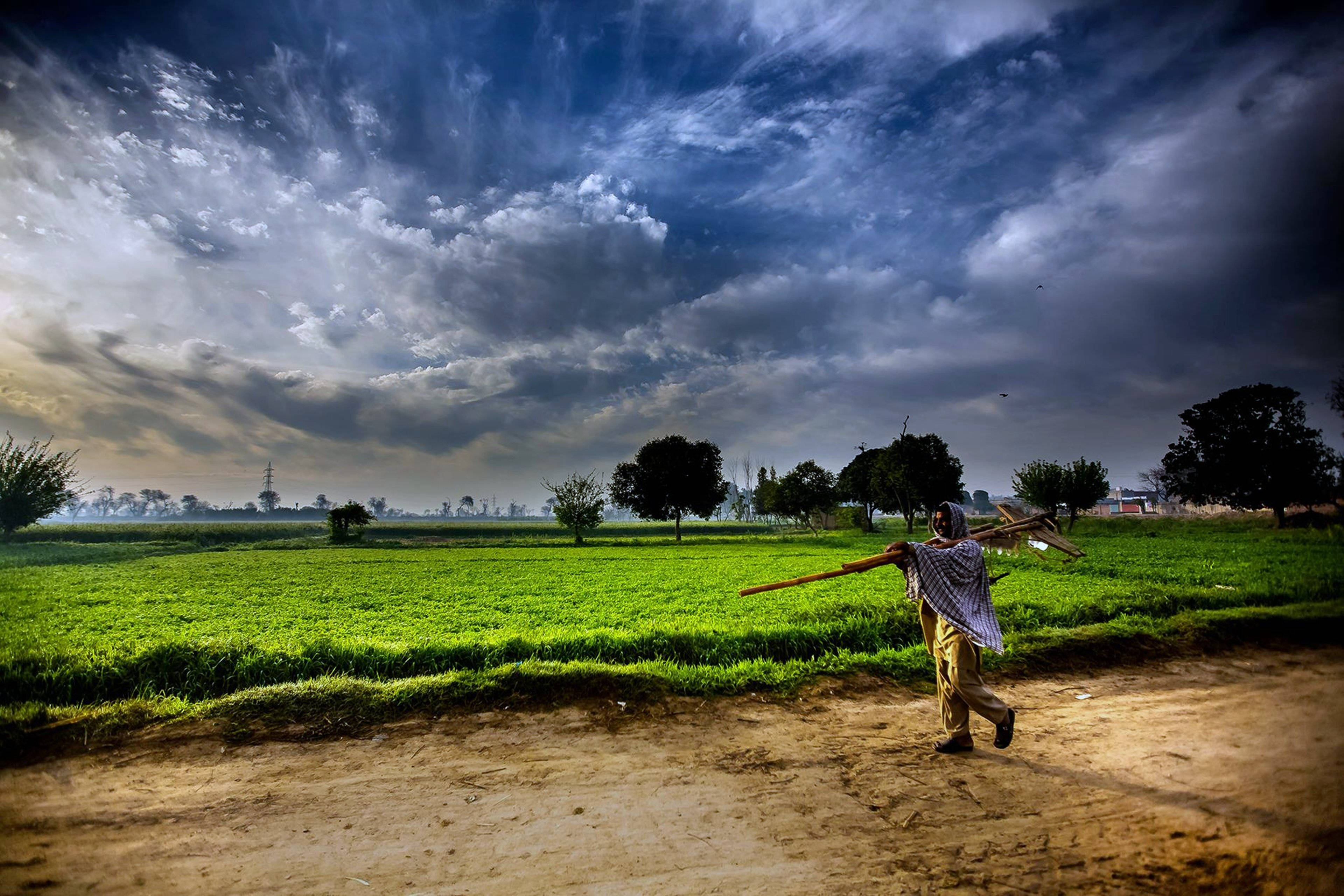 green grassland, dirt path, vibrant green fields, 4K Desktop Wallpaper