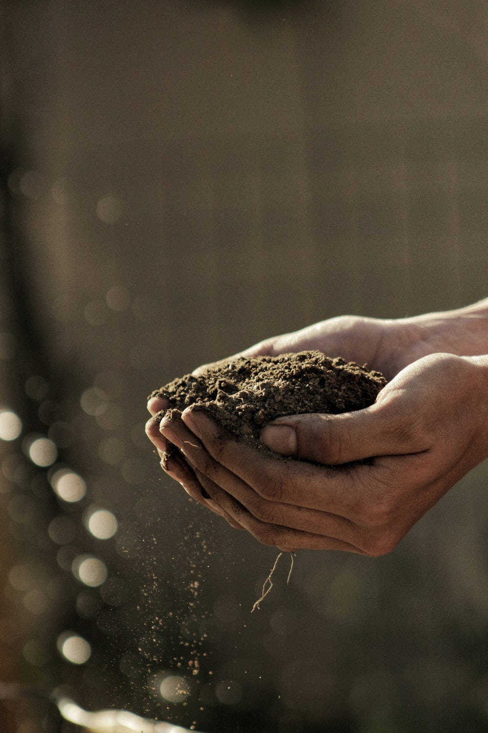 Agriculture, soil, dark soil, HD Phone Wallpaper