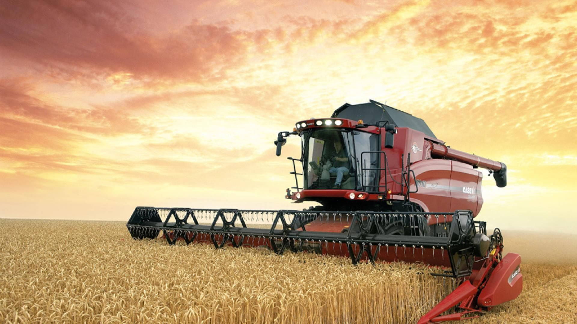 combine harvester, golden wheat field, fiery sunset sky, Full HD Desktop Wallpaper