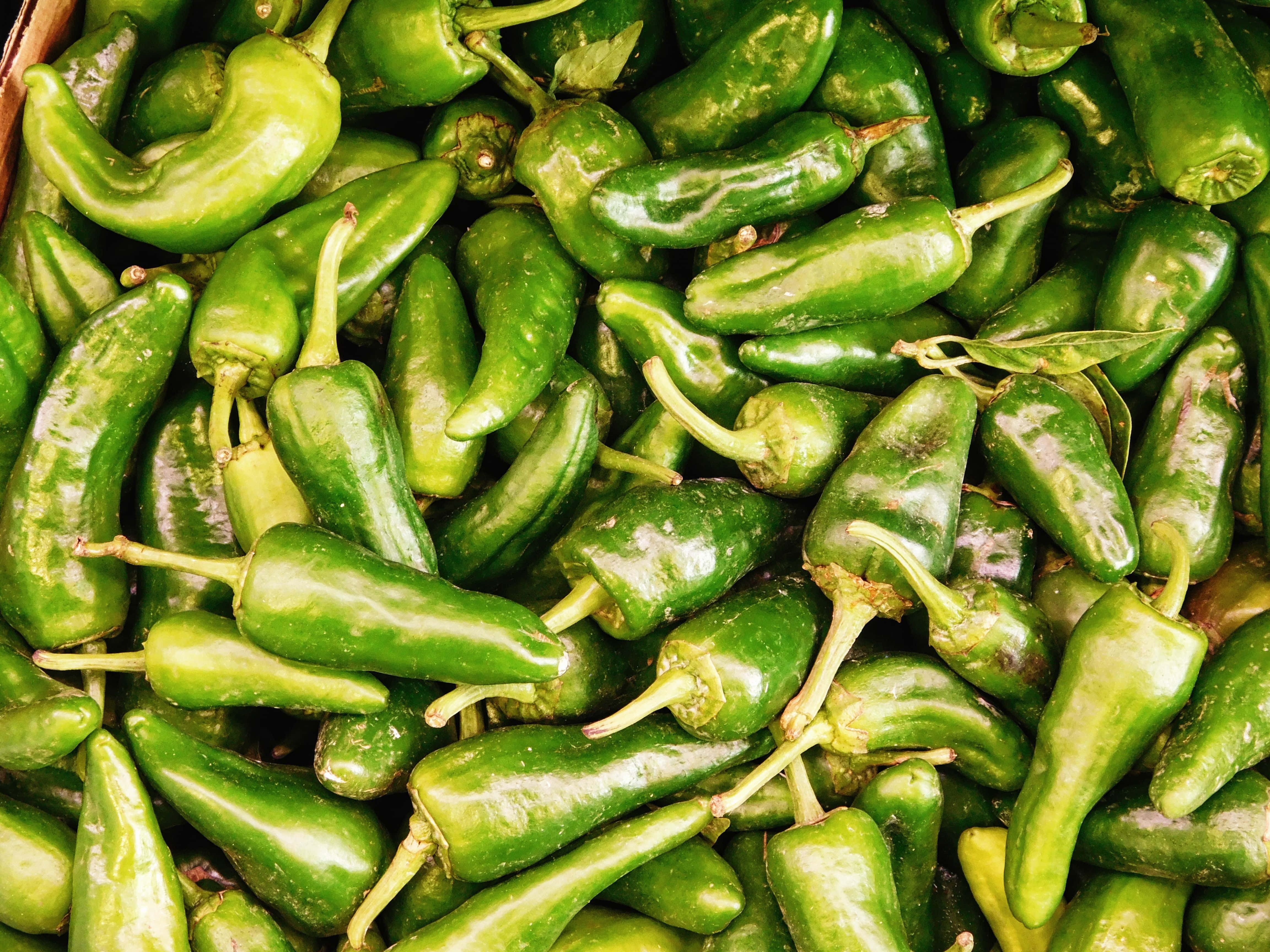 jalapeño peppers, glossy skin, stems, 4K Desktop Wallpaper