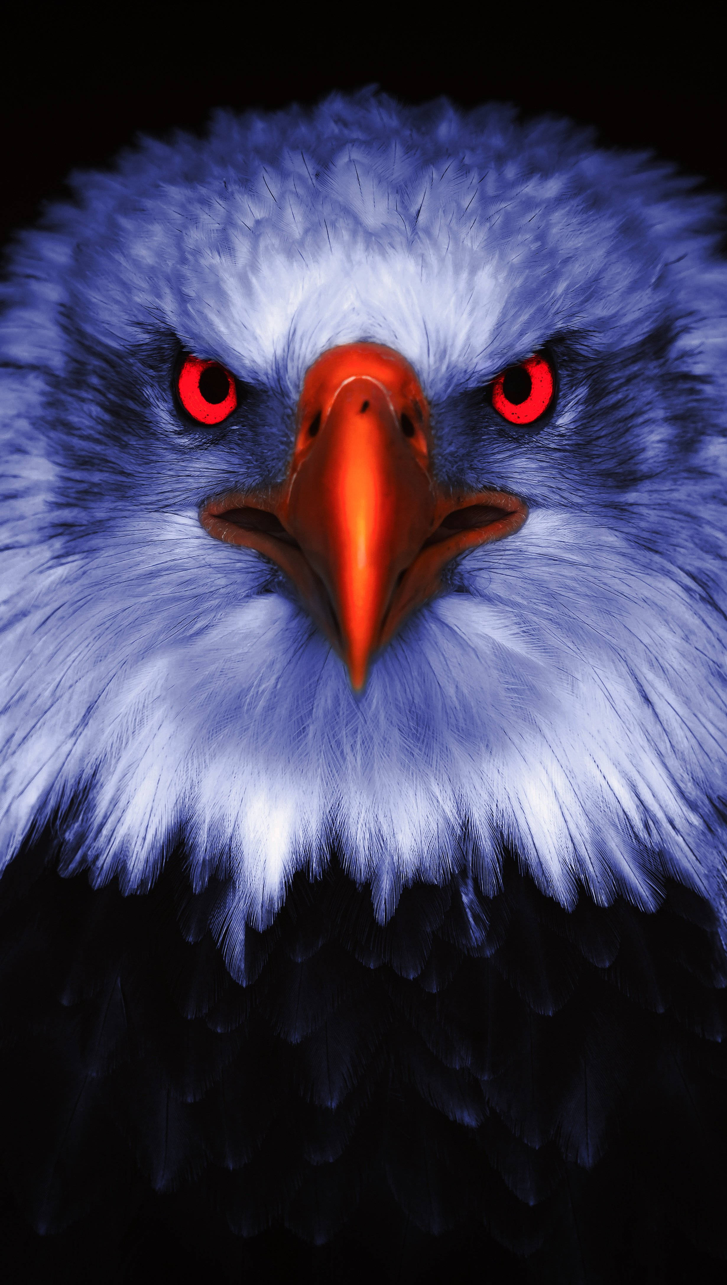 Aguila, bald eagle, glowing red eyes, 4K Phone Wallpaper