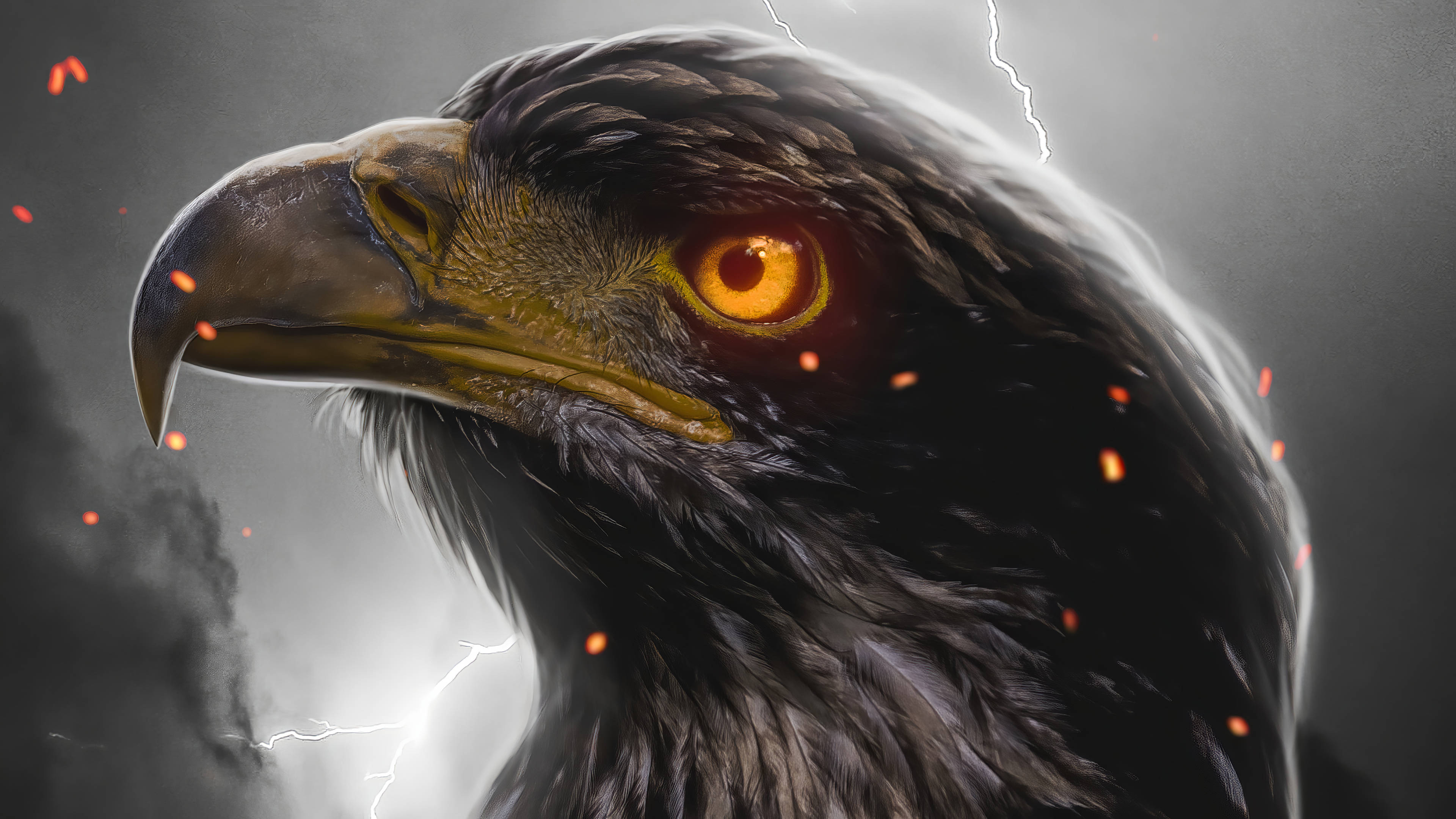 Aguila, glowing orange eyes, stormy sky, 4K Desktop Wallpaper