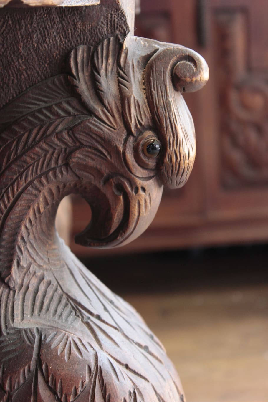 Aguila, wooden eagle head, intricately carved, HD Phone Wallpaper